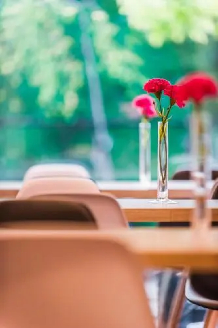 Apartamenty Eskapada