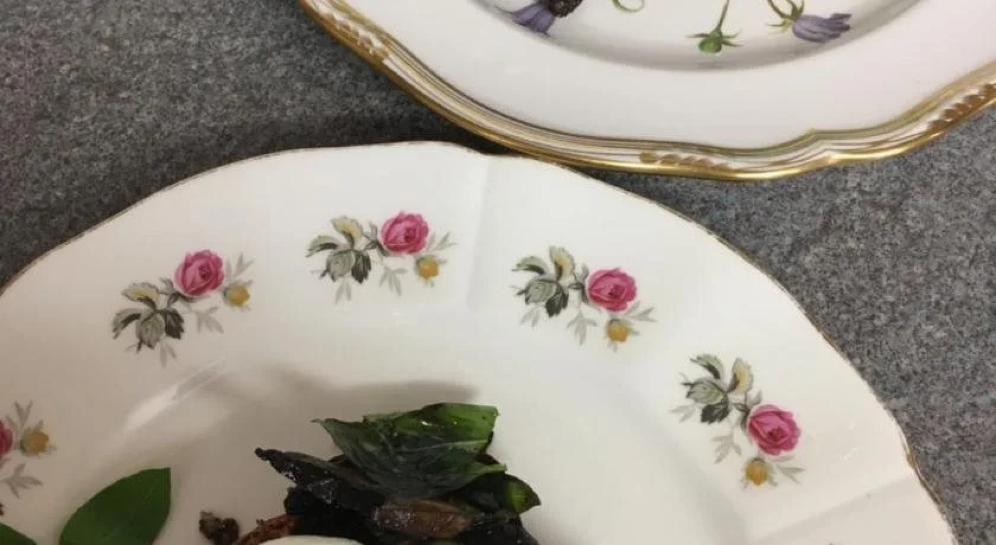 The View on the Terrace