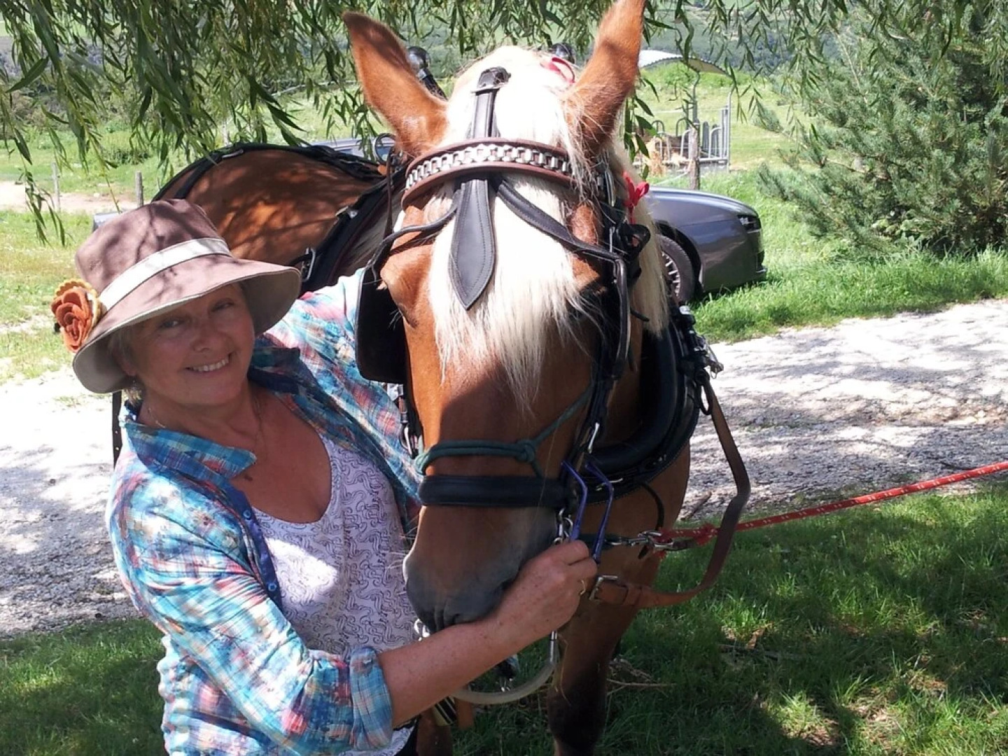 Chambre d'hôtes La Duzonne