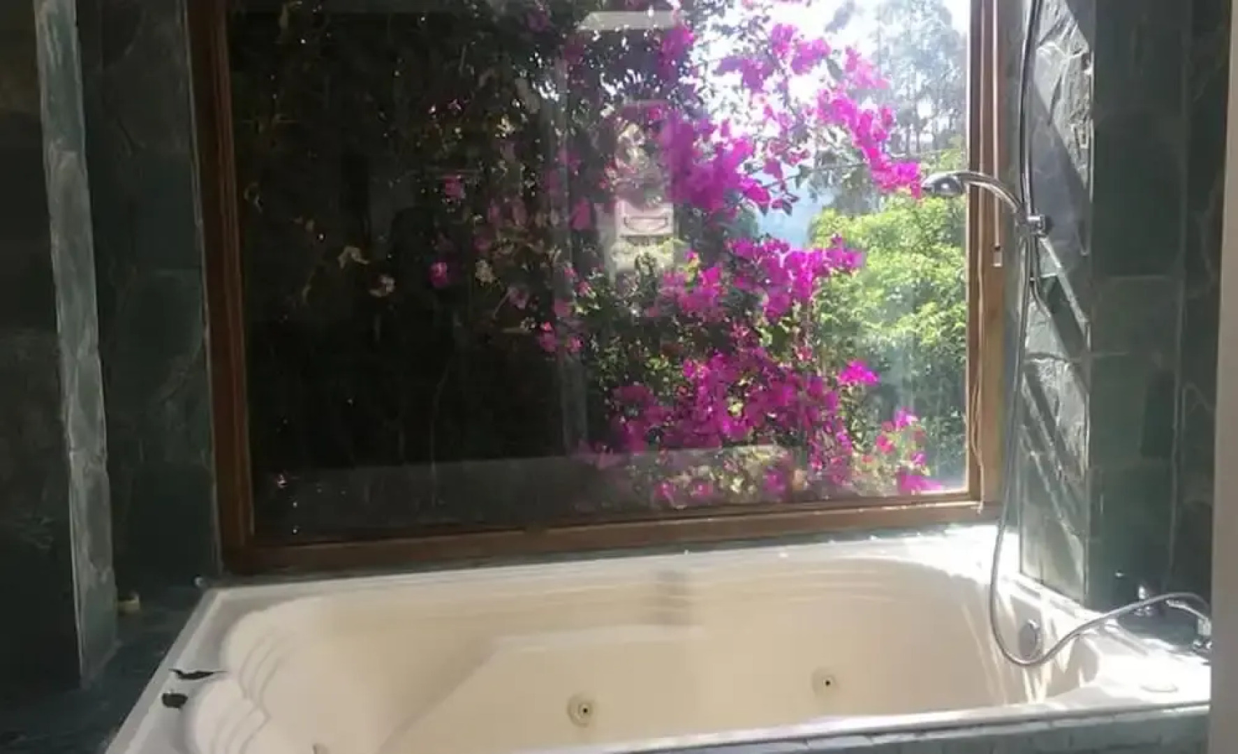 Casa Hippiness Guest House B&B