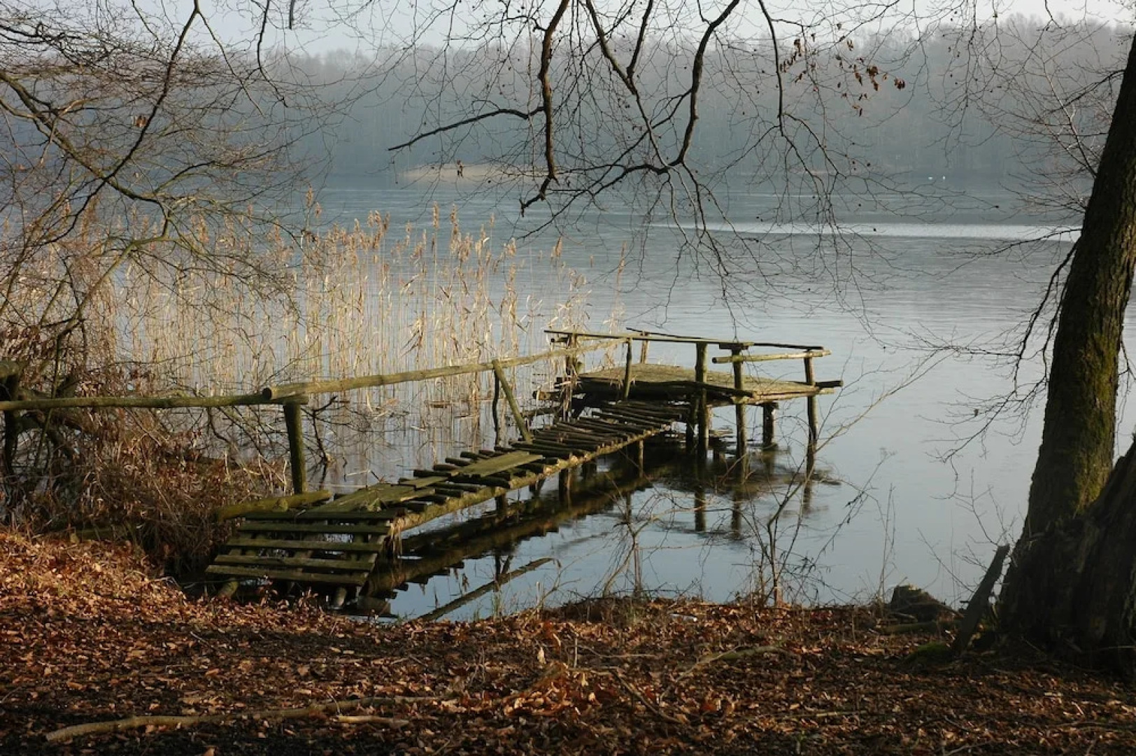 Agroturystyka U Przyjaciol Soni