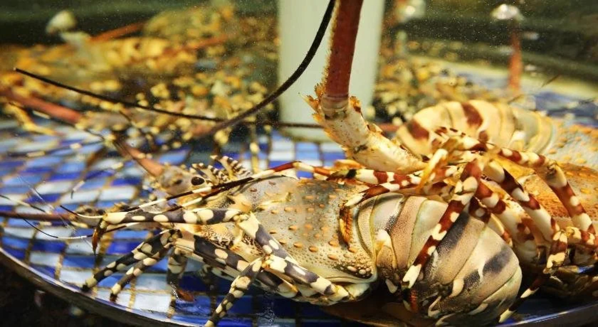 Guangzhou Zhongbang International Hotel