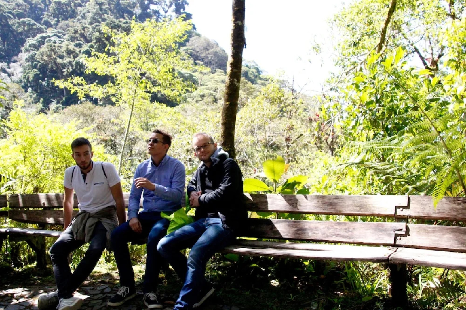 Los Quetzales Ecolodge & Spa