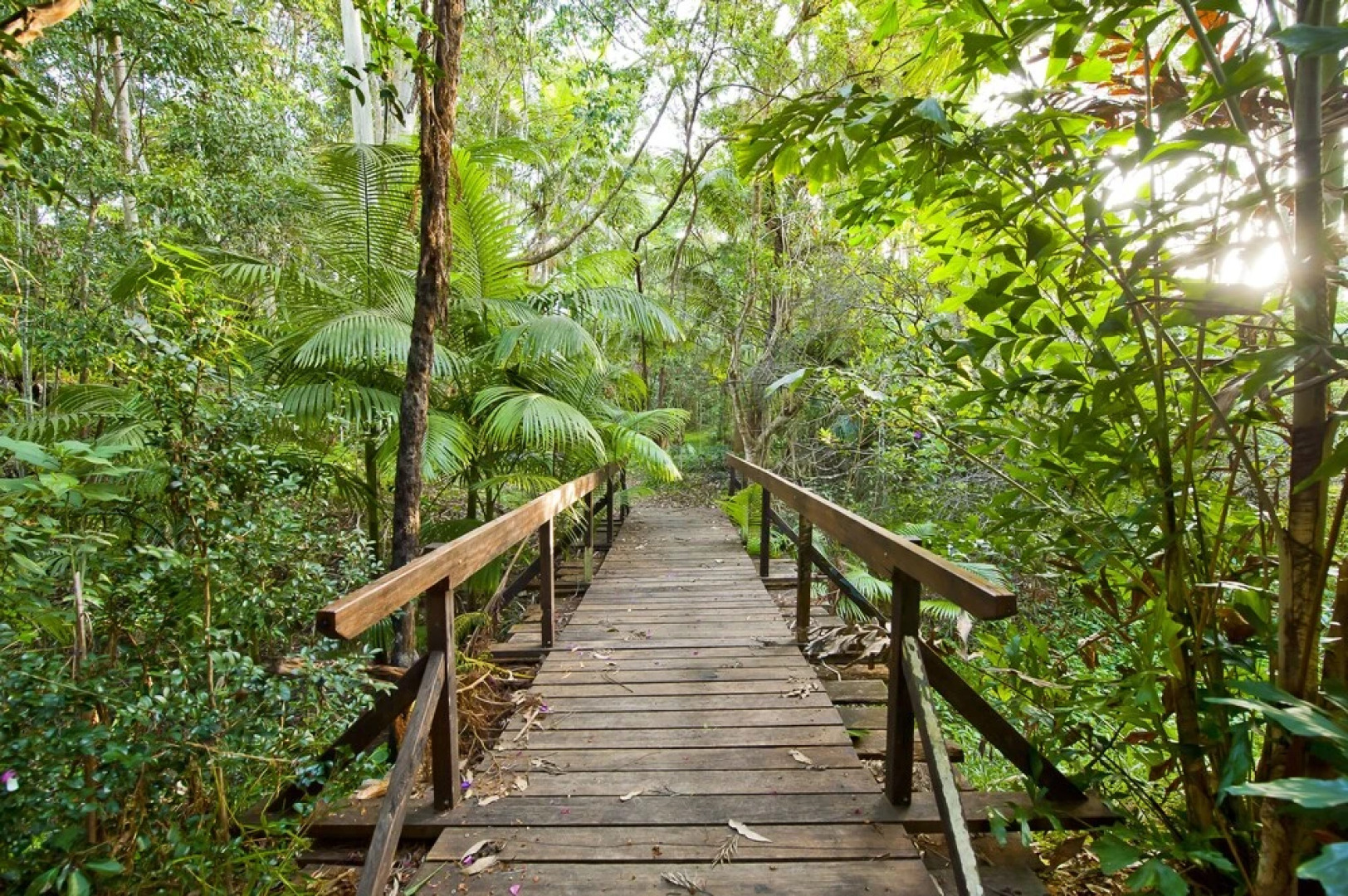 Crabbes Creek Cottages
