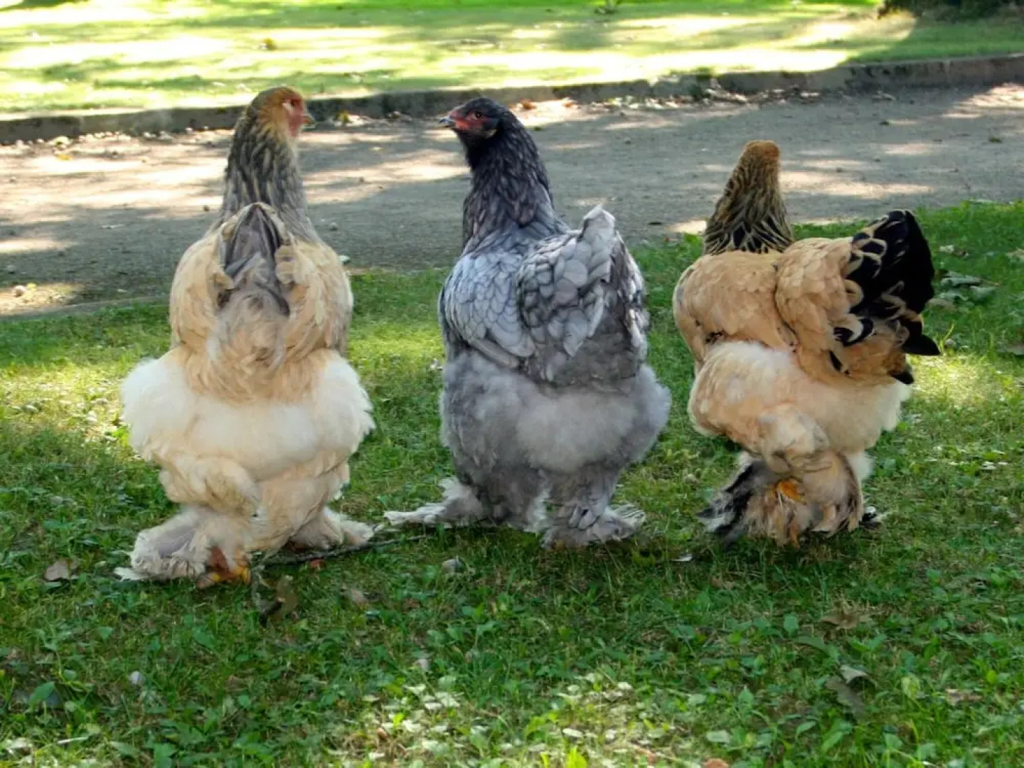 Authentic Holiday Home With a Garden