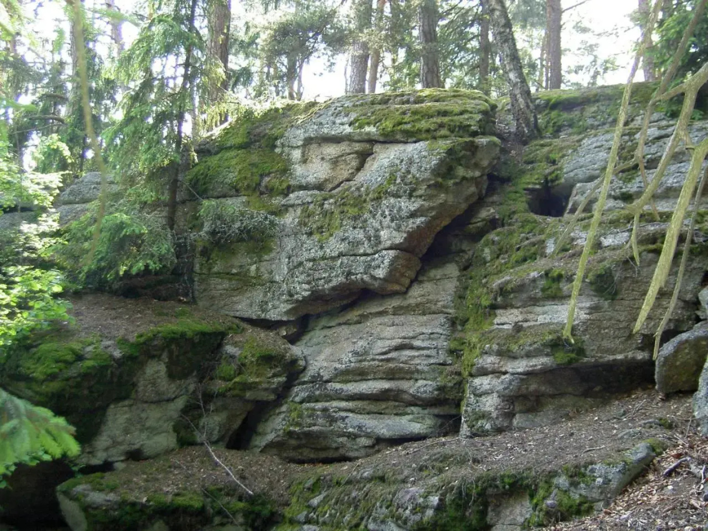Bauernhof Familie Tauber-Scheidl
