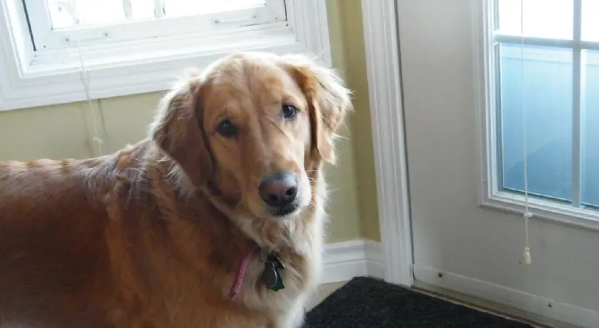 Coverdale Bed & Breakfast