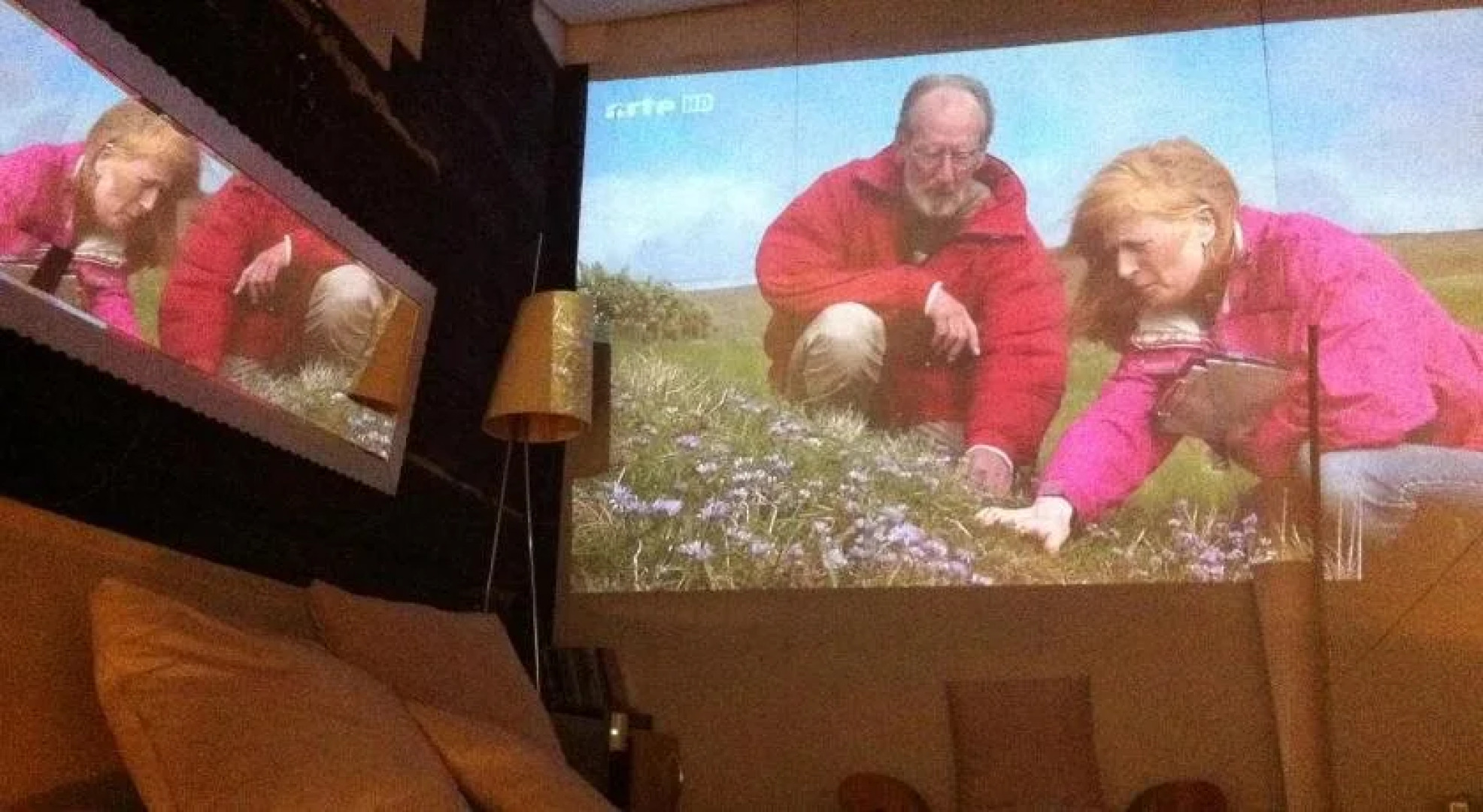 400 Year Old Swiss Chalet