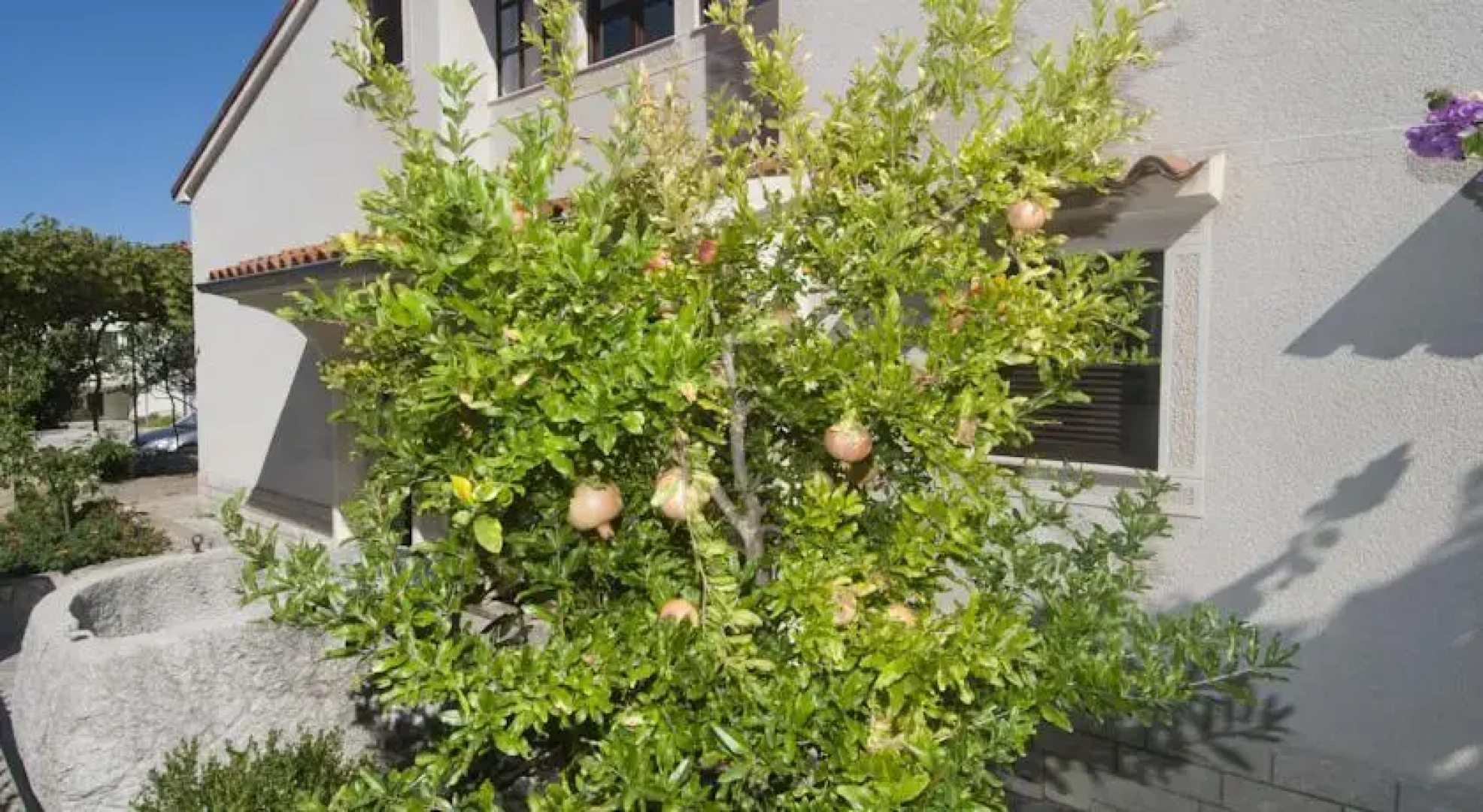 Apartments Anci