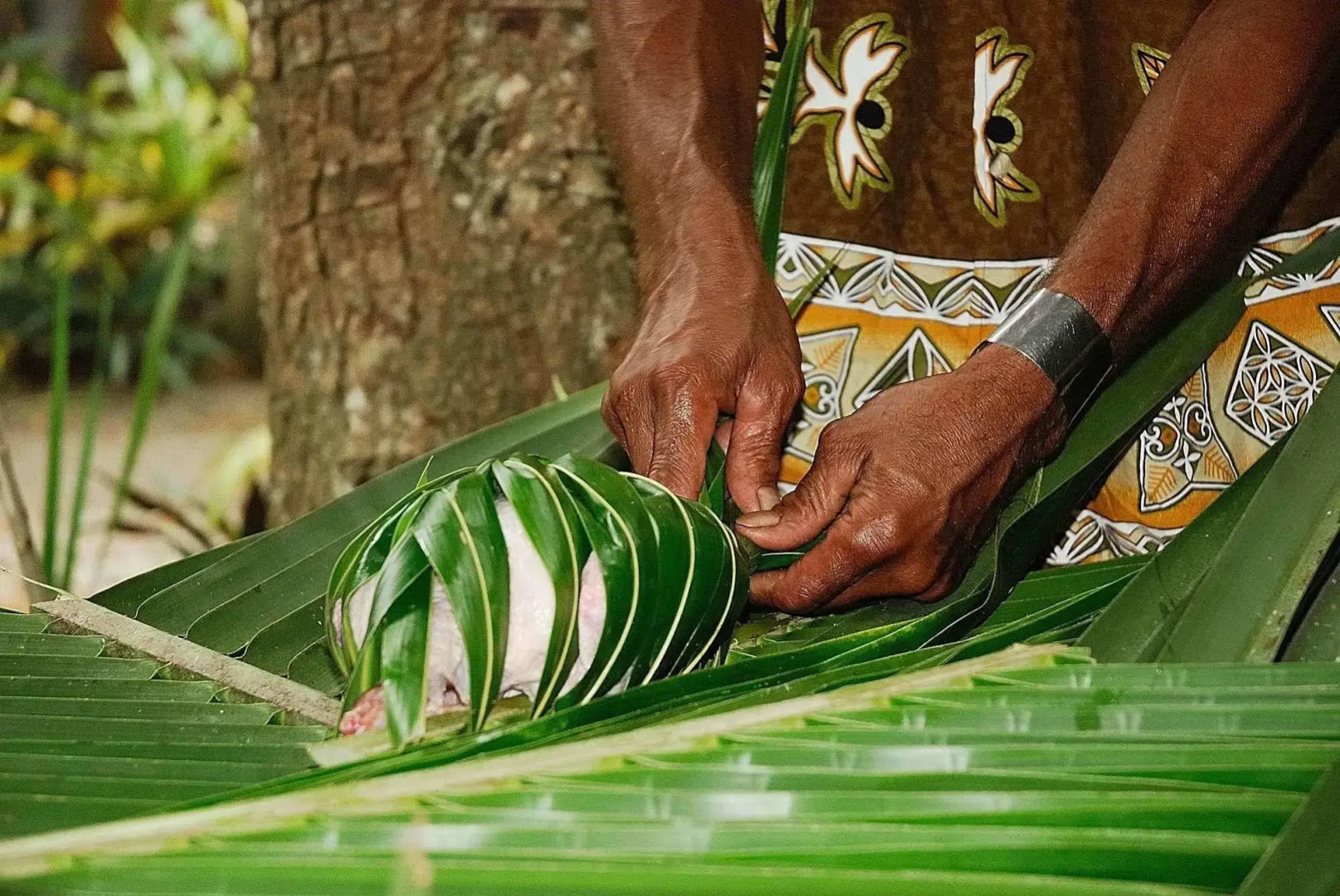 Dolphin Bay Divers Retreat