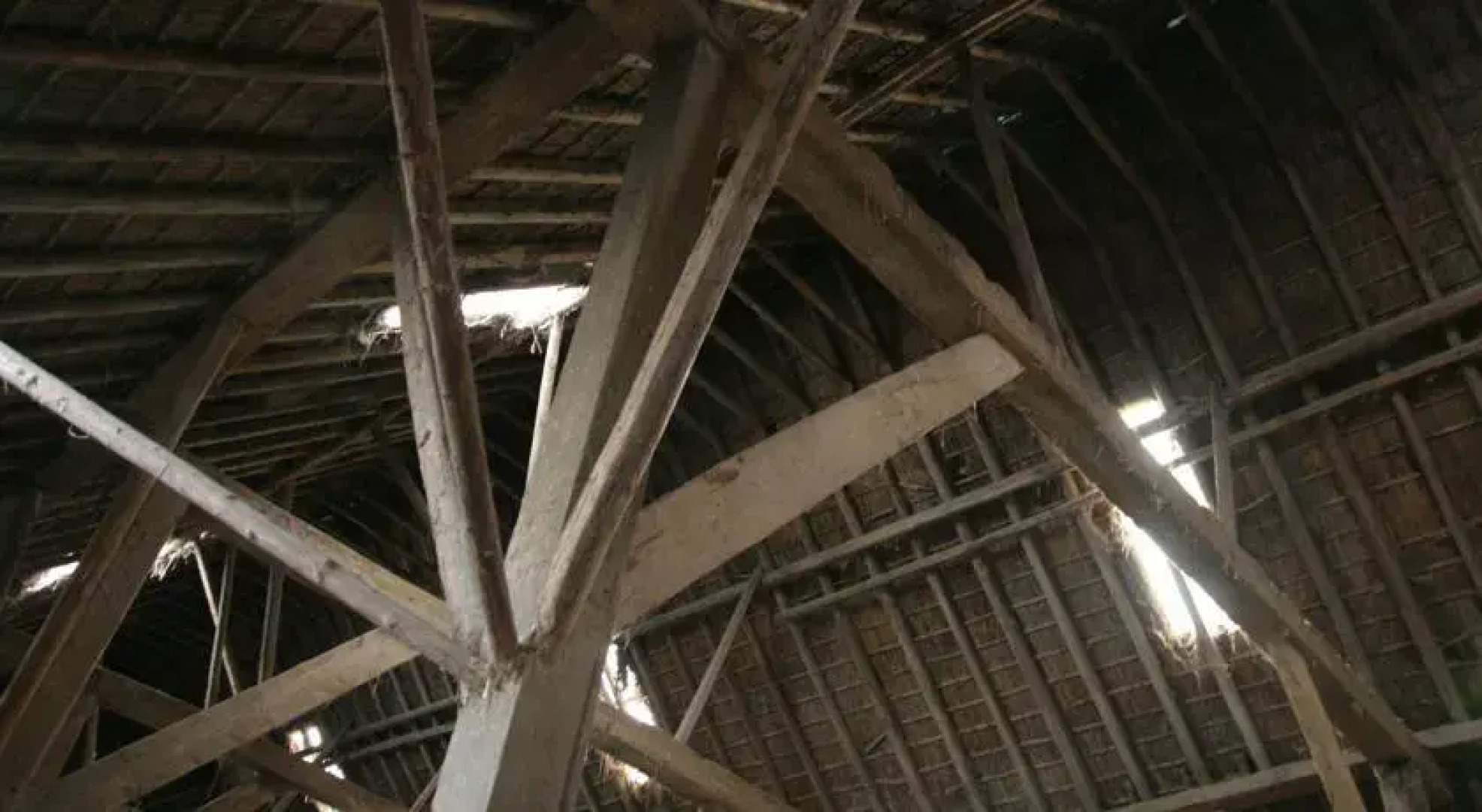 Vakantieboerderij Huizingheem