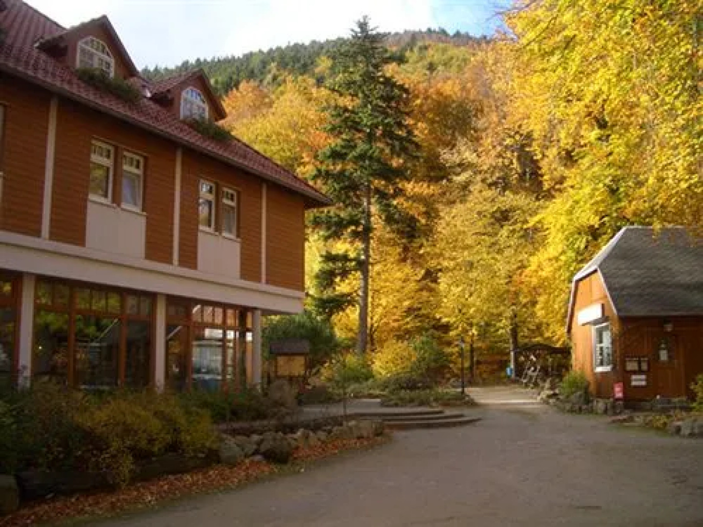 Kurpark-Hotel Im Ilsetal