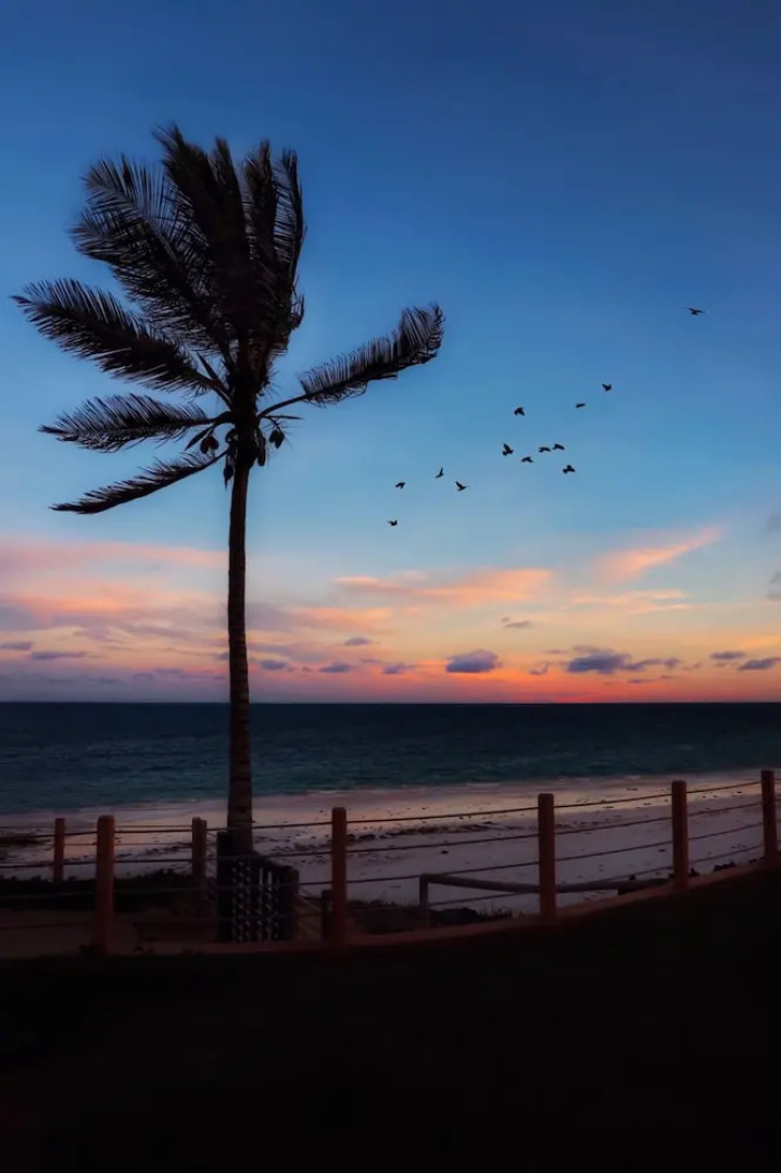 Silver Palm Spa and Resort