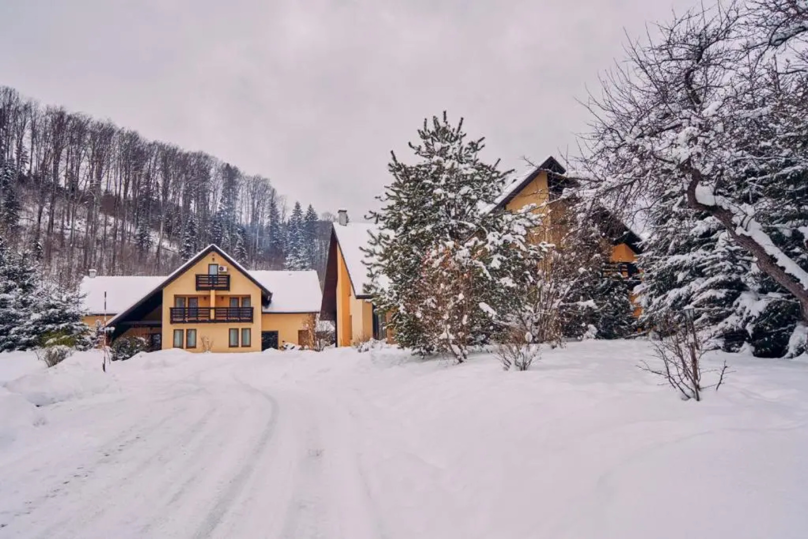 Complex Turistic Bucovina