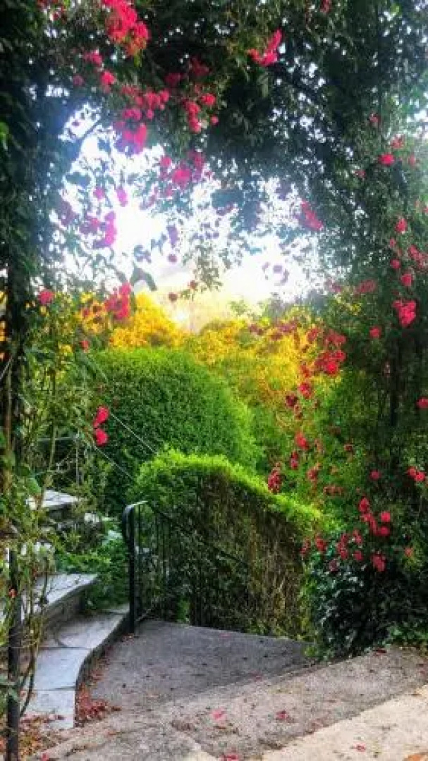 Wolfgangsee Appartment