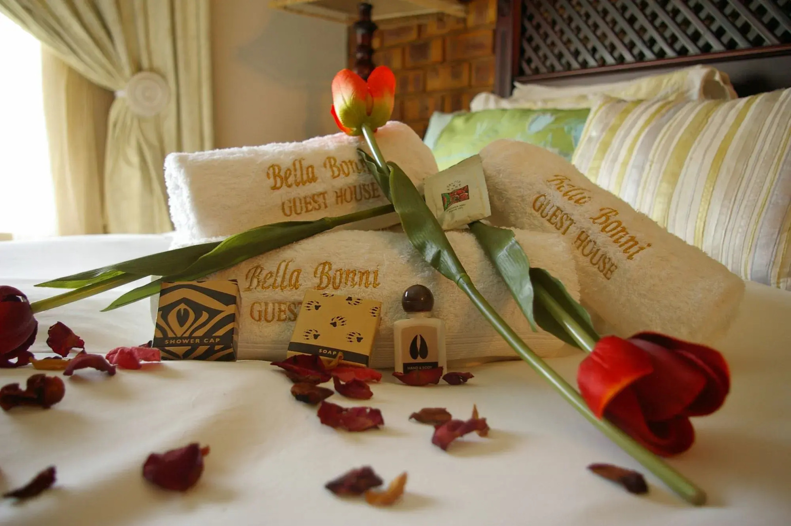 Bella Bonnie Guest House