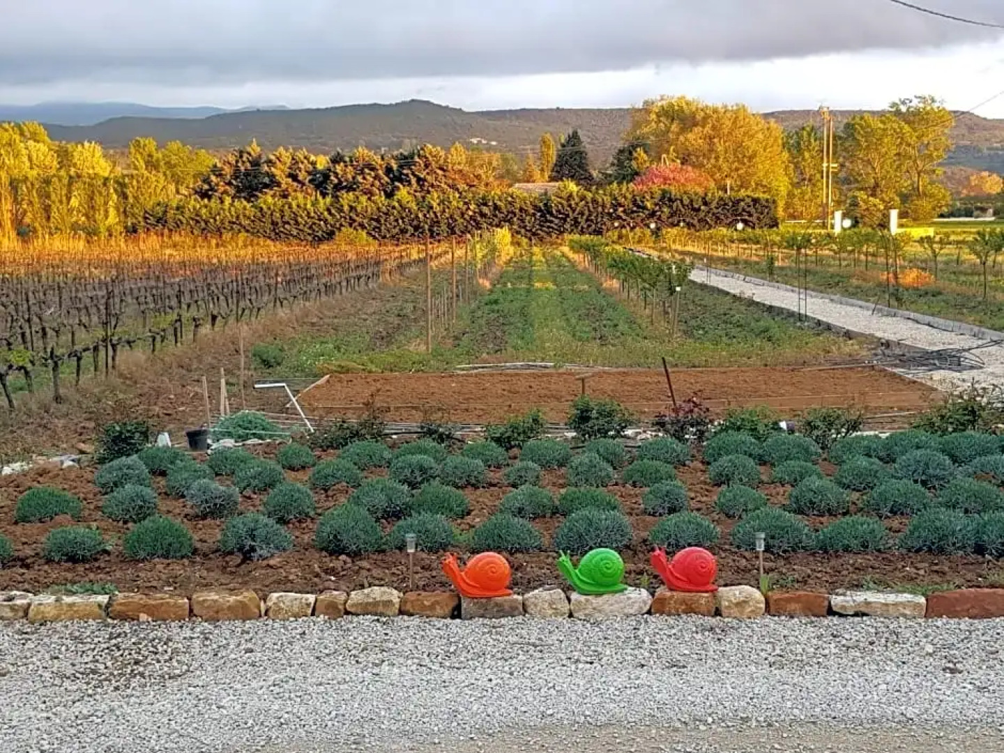 Chambres & Tables d'hôtes Moulin de Lavon