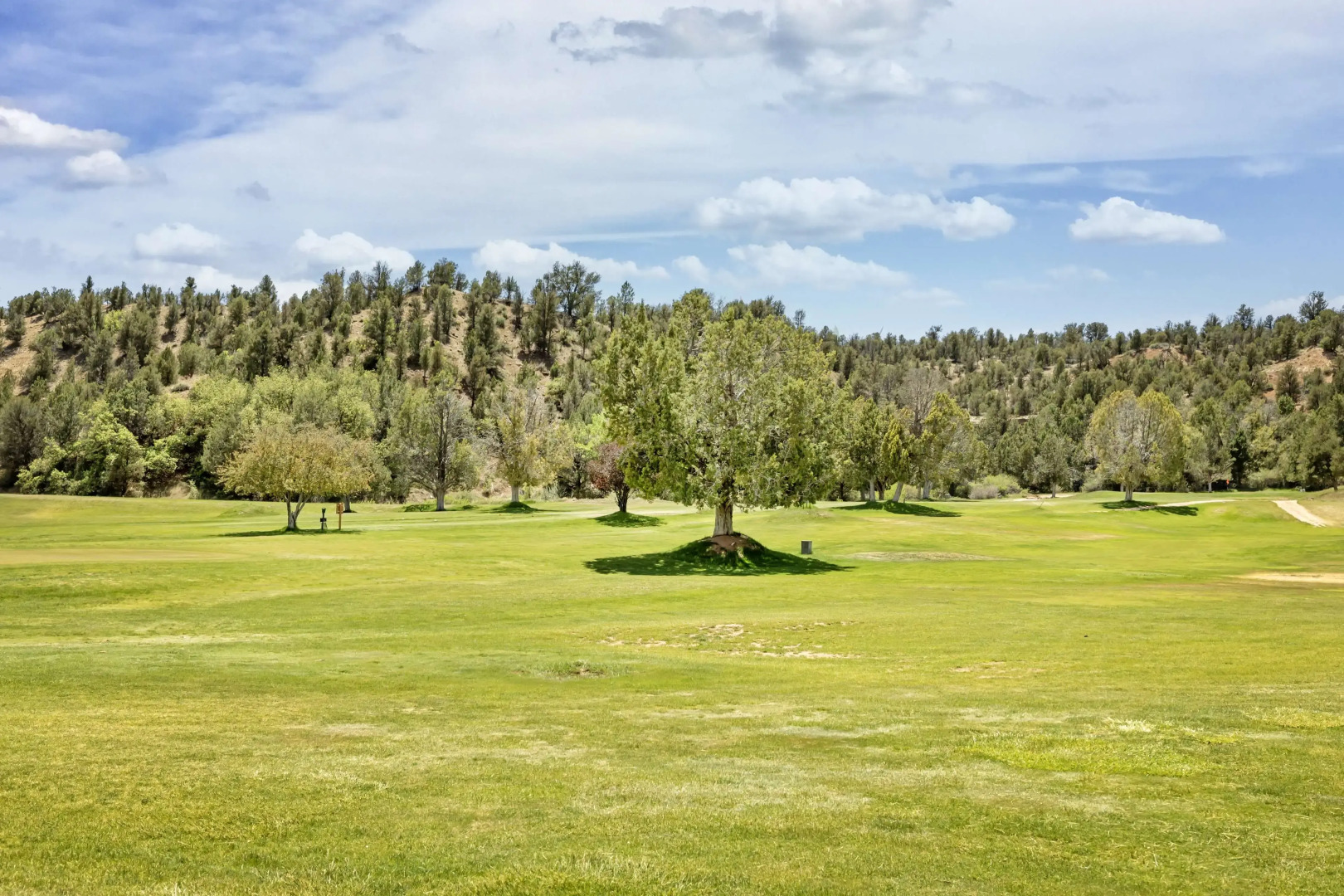 Best Western East Zion Thunderbird Lodge