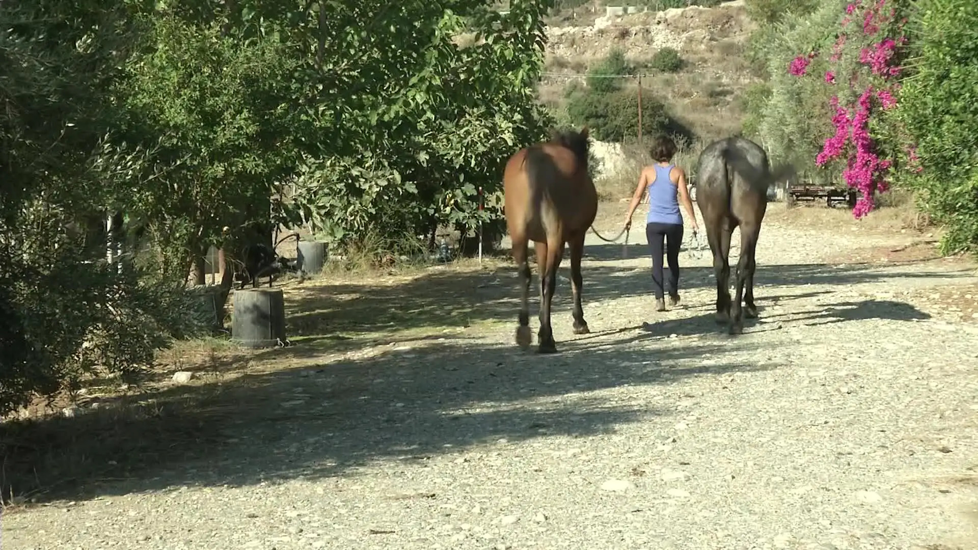 Cyprus Villages Traditional Houses