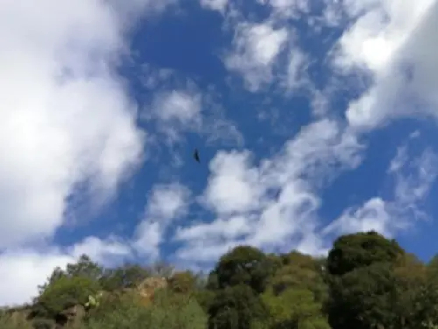 Centro Accoglienza Turistica Grazia Deledda