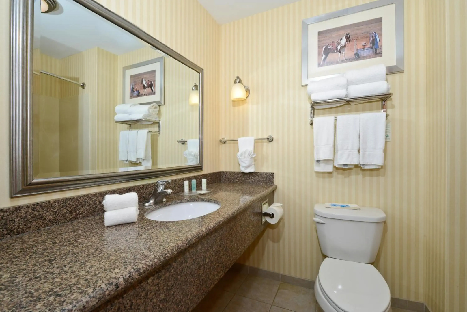 Comfort Suites Lancaster Amish Country