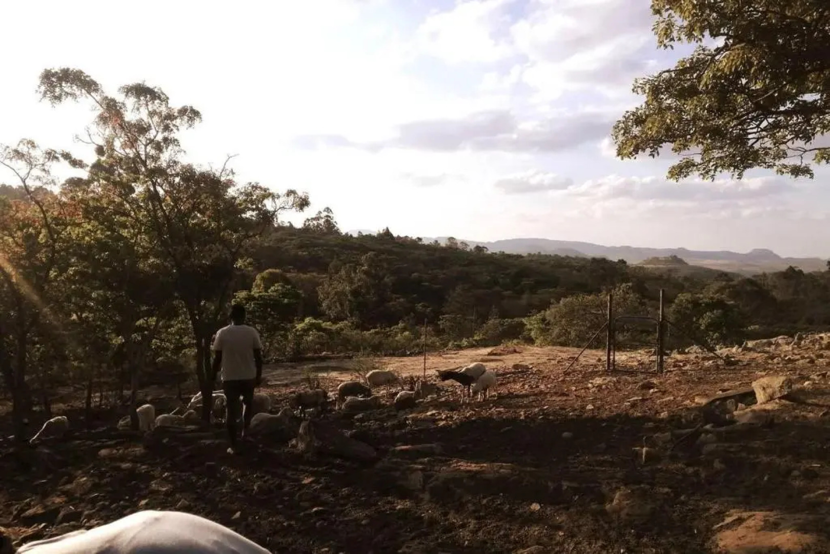 Beautiful 1-bed Cottage in Juliasdale