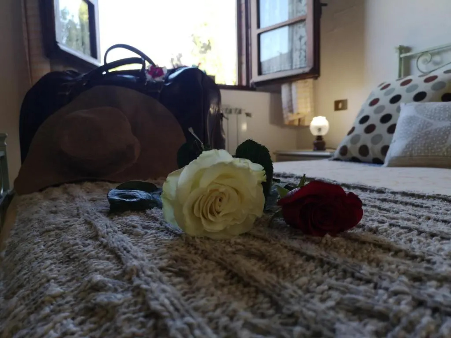 Agriturismo Palazzo Conti B