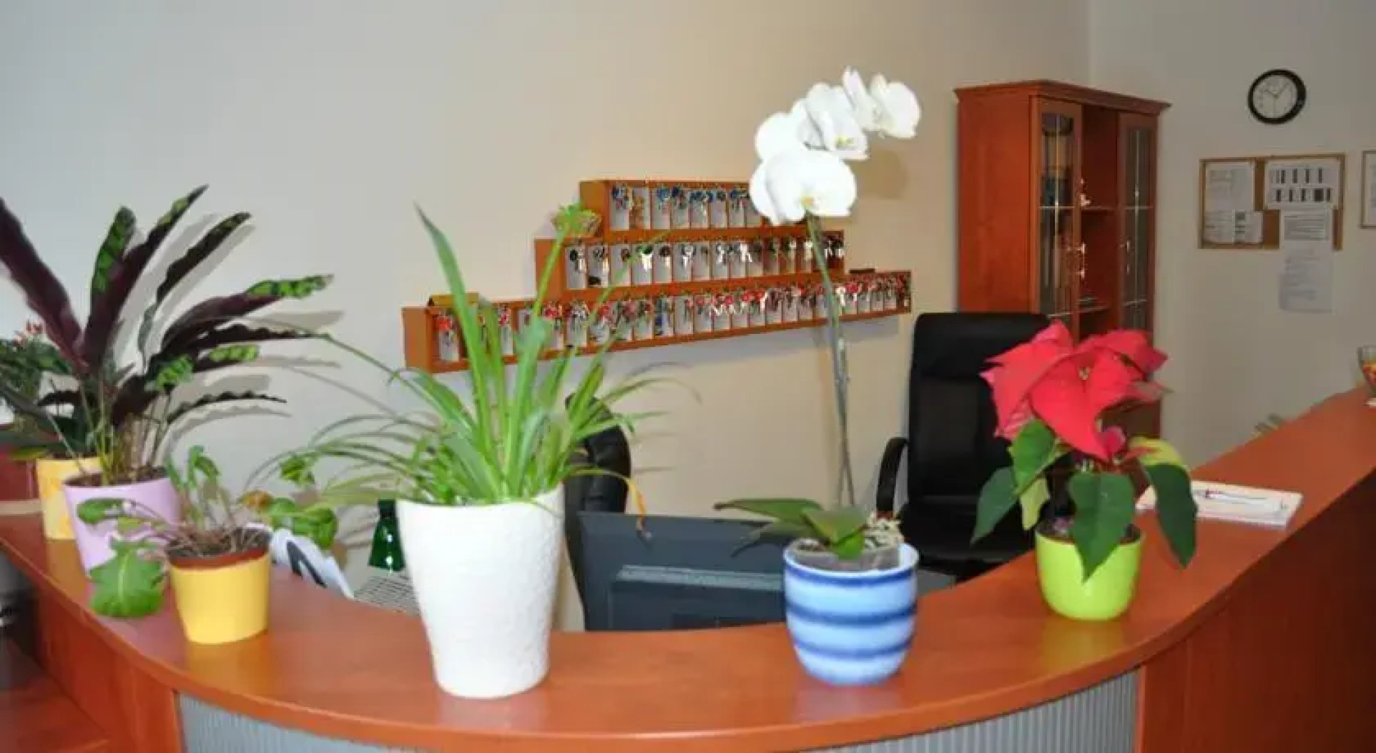 Ubytovanie v Stupave