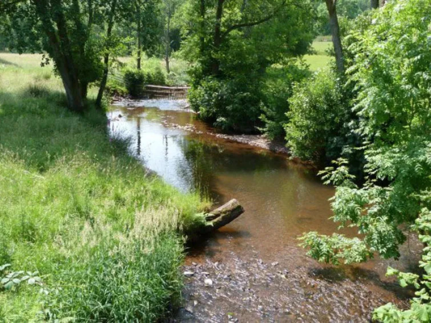 Holiday Home Eithrin Fach