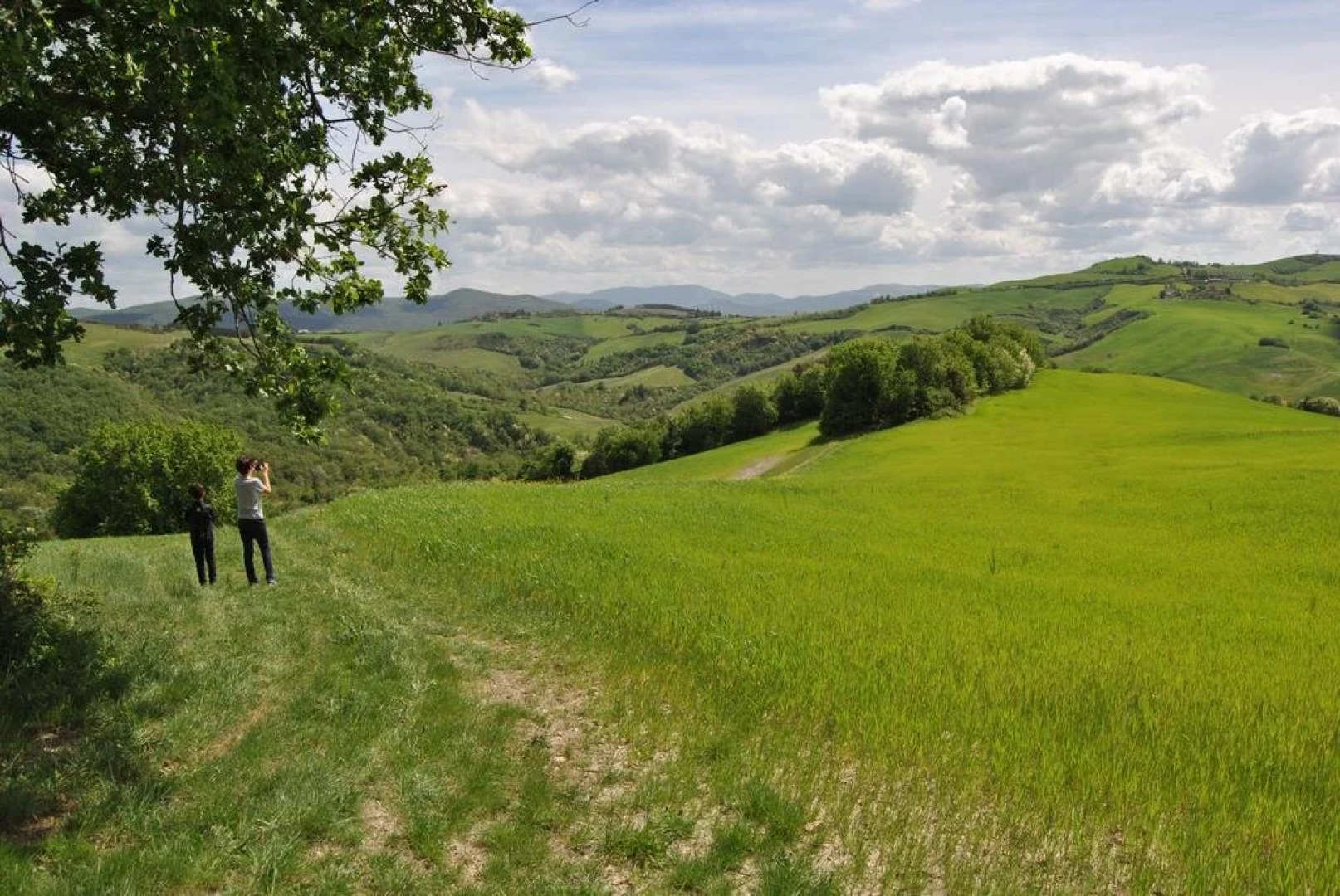 Agriturismo Il Poggiarello