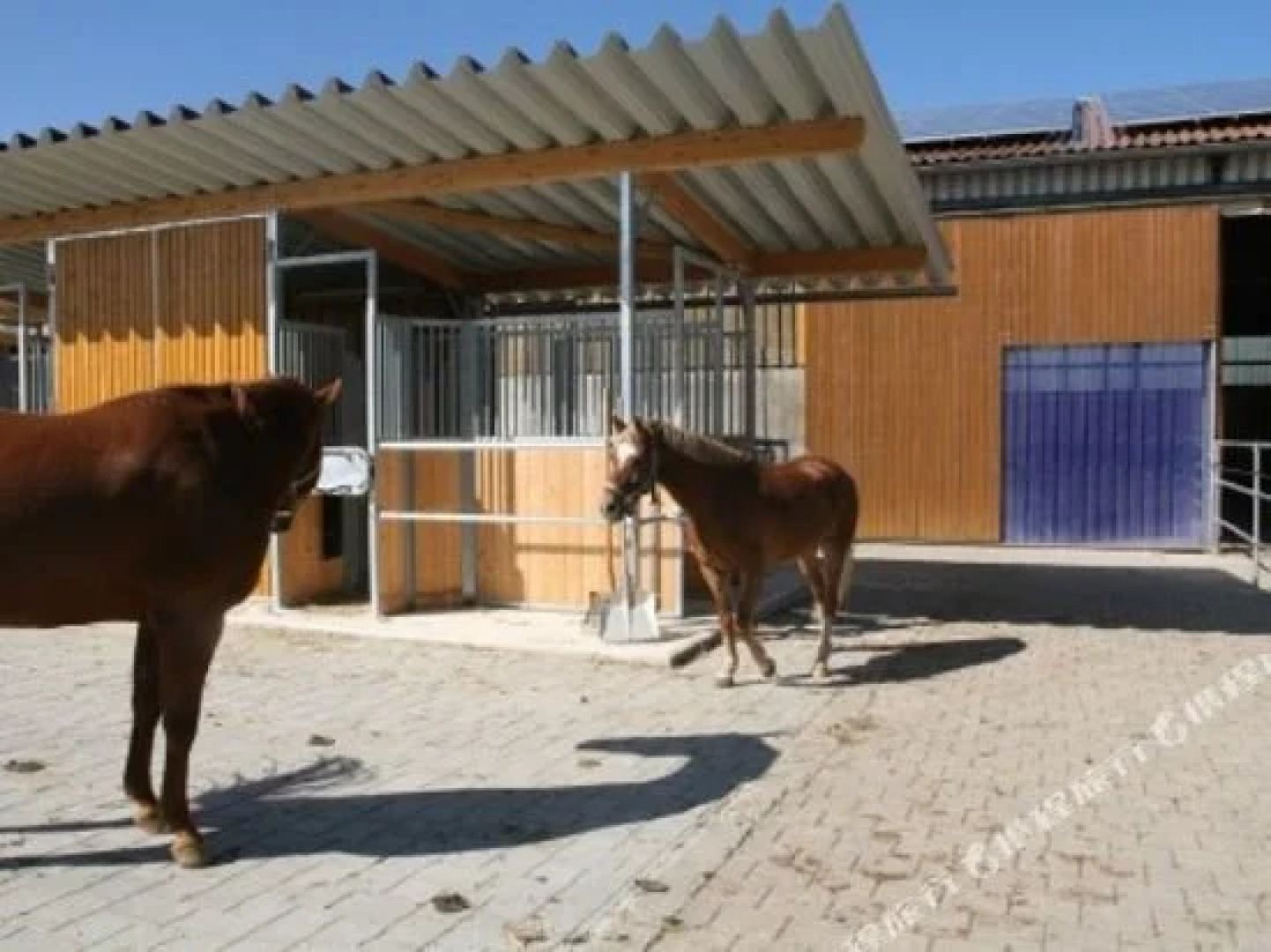 Reitanlage Härtsfeldhof