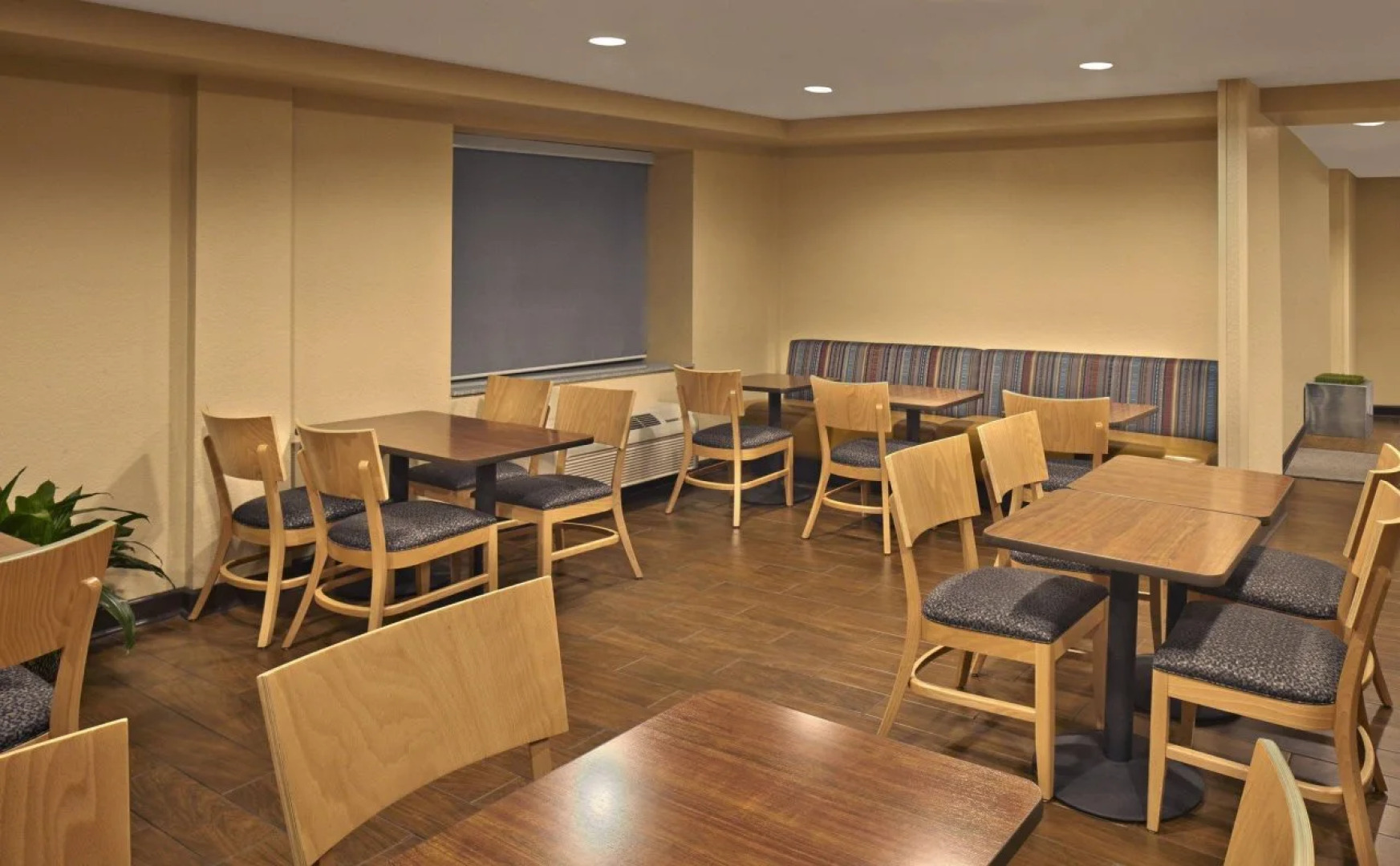 TownePlace Suites by Marriott Albany Downtown/Medical Center