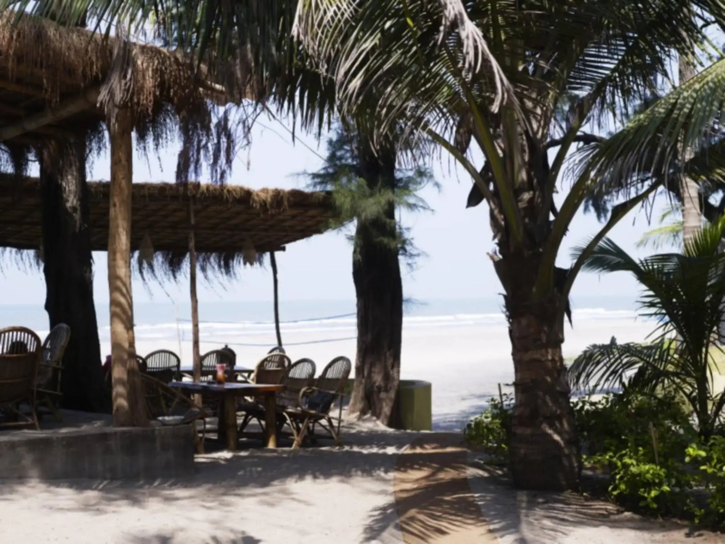 Palm Grove Beach Resort