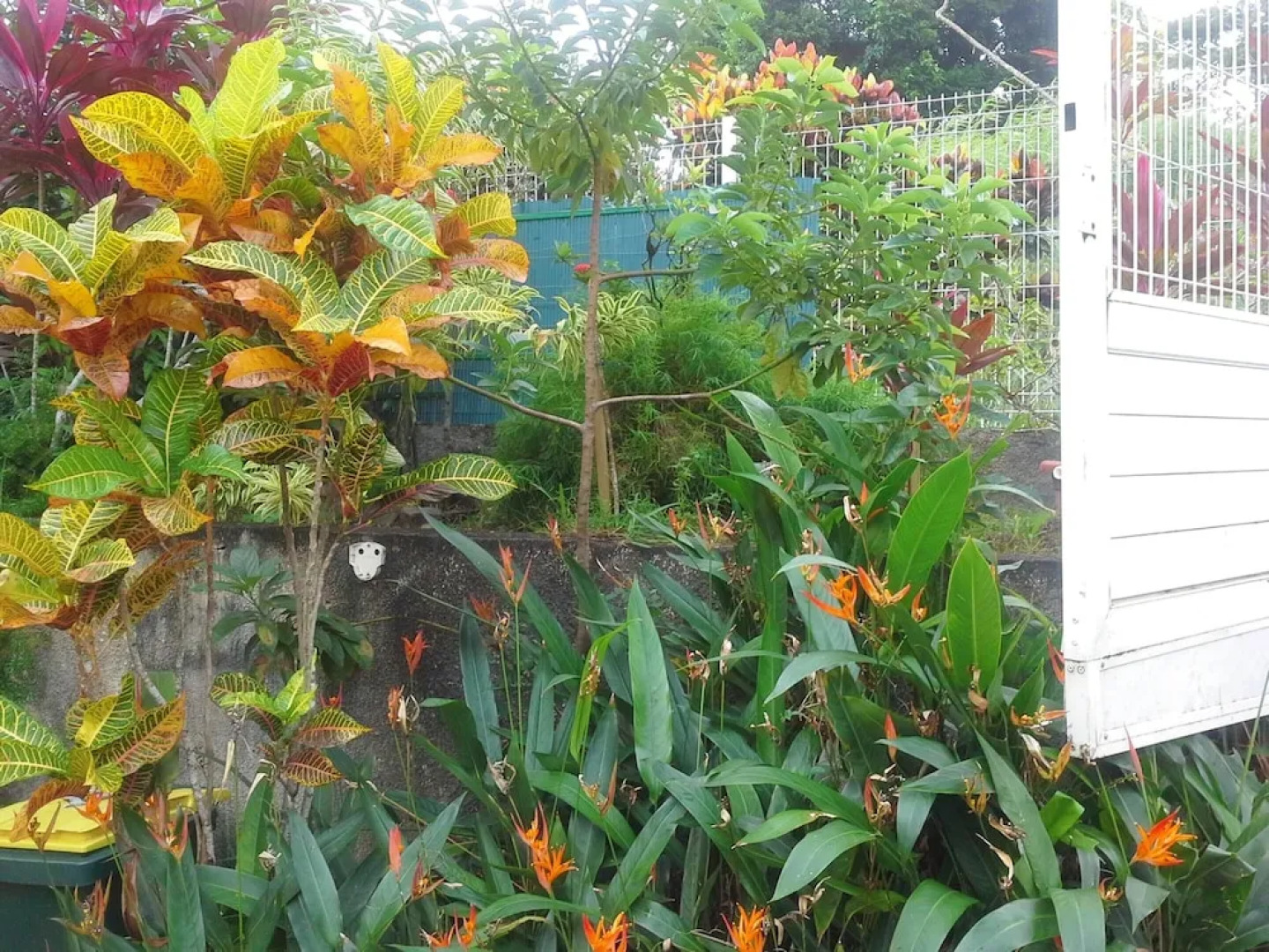 Apartment With one Bedroom in Le Robert, With Wifi - 2 km From the Bea