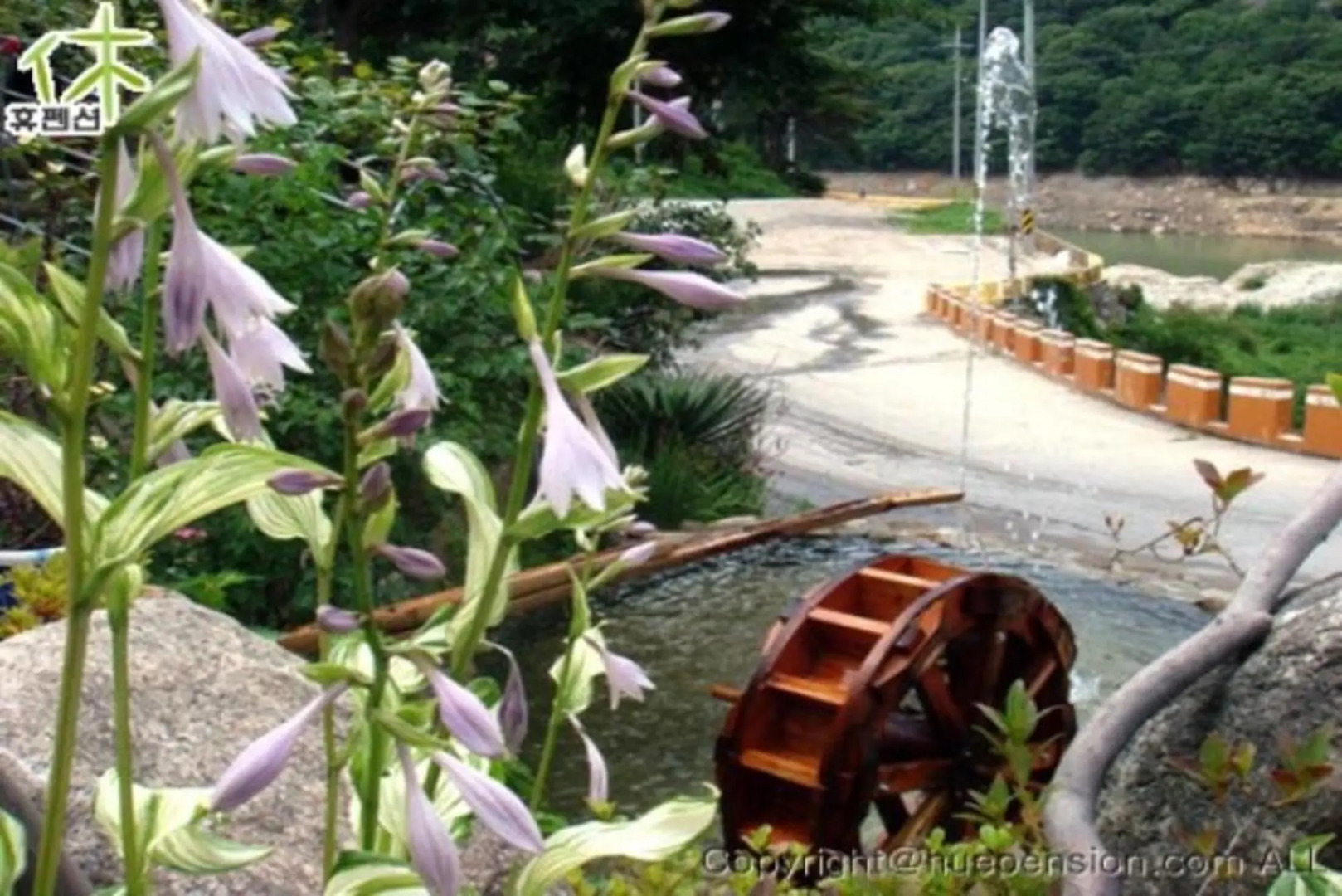 Sacheon Baegunimeomuneungot Pension