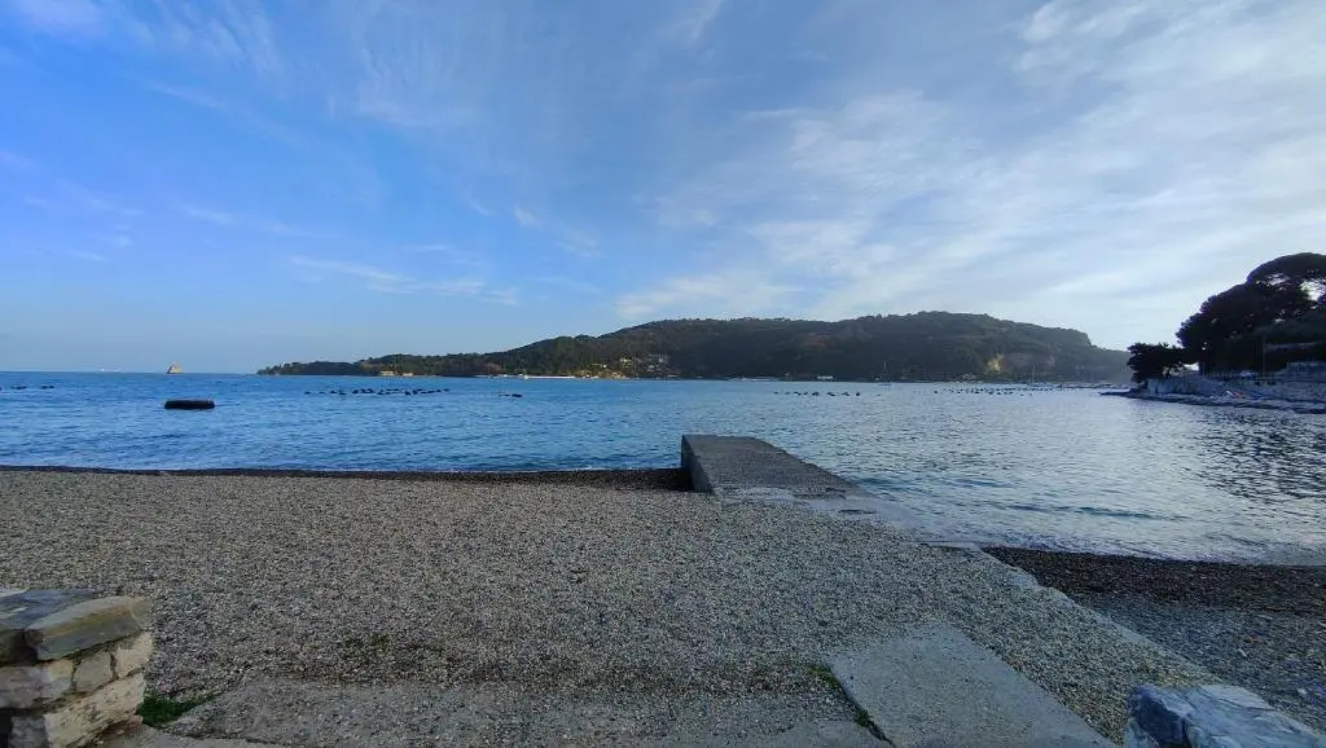 Appartamento Olivo 229