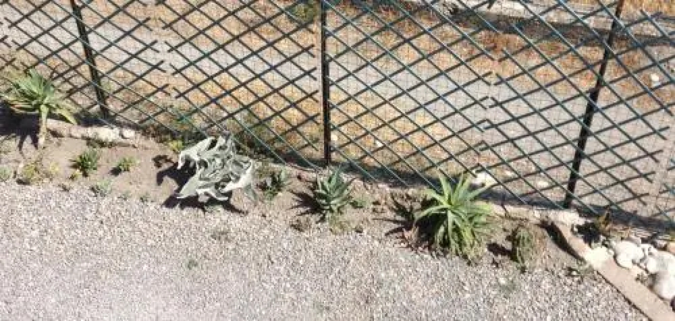 Casa Vacanze Bungalow I Girasoli