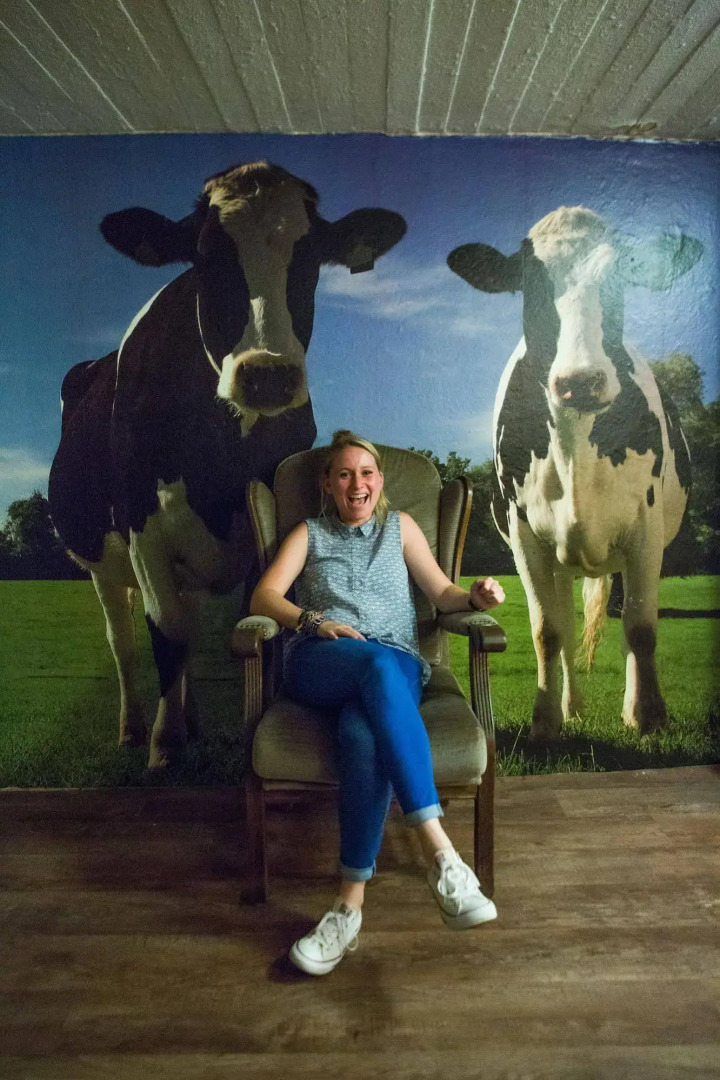 The Flying Pig Downtown Youth Hostel