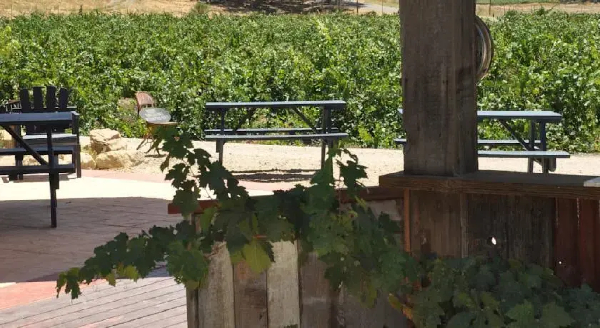 Villa Vino at Poalillo Vineyards