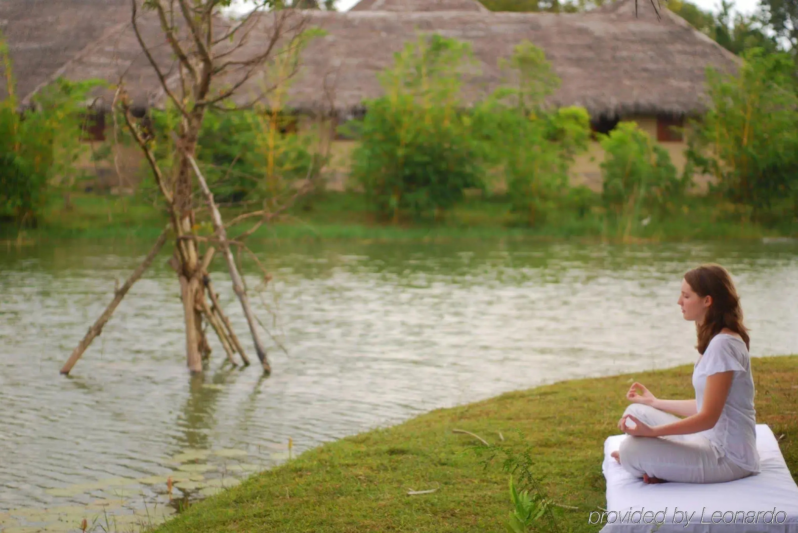 Jetwing Vil Uyana, A Luxury Reserve