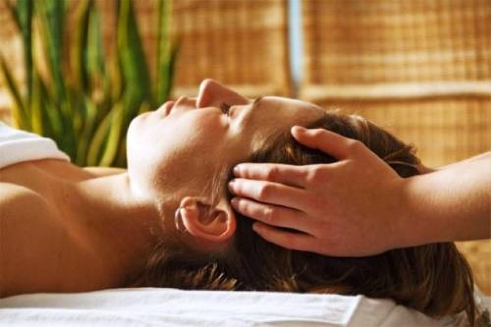 Robles De Besares Posada