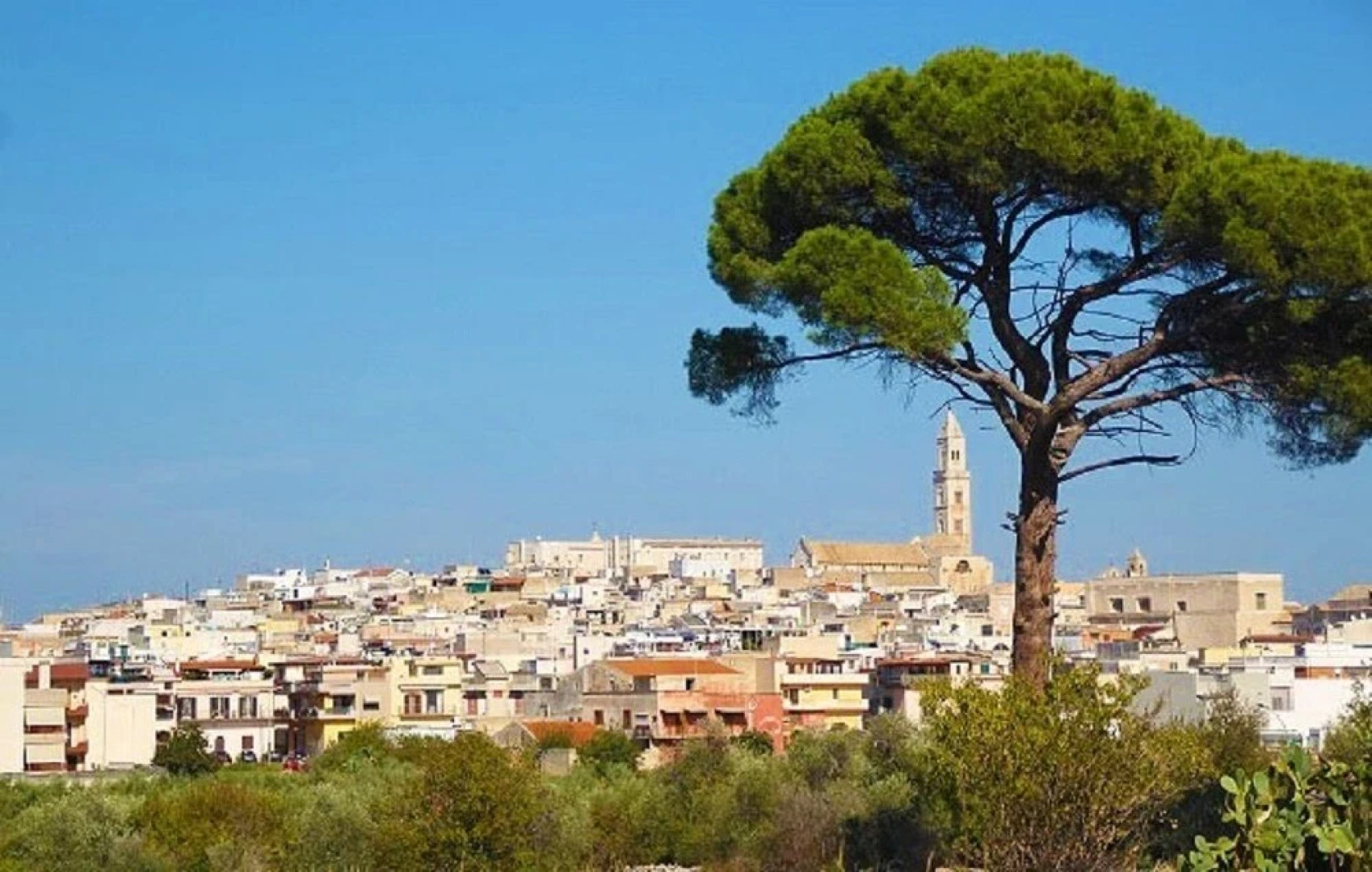 Francis' Guest House