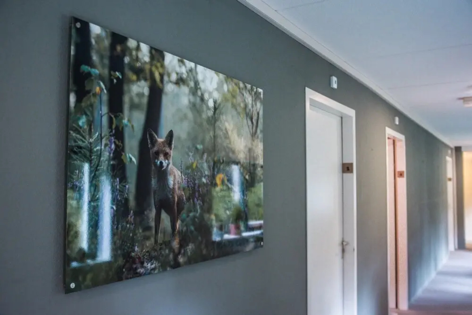 Witte Berken Natuurhotel