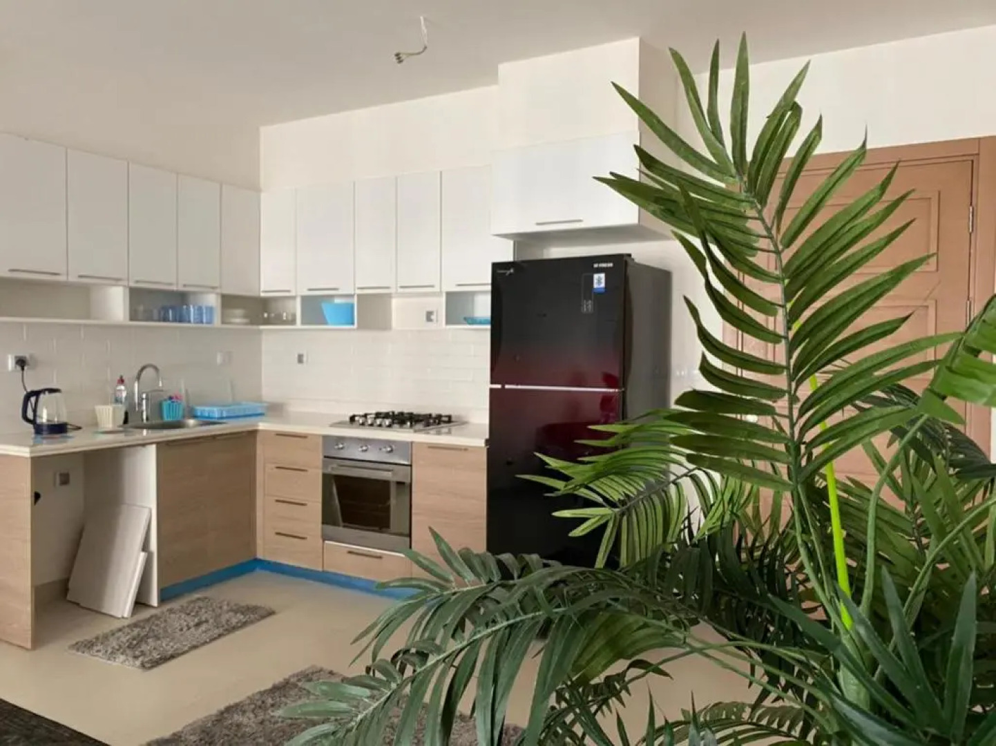 Apartment in Marassi