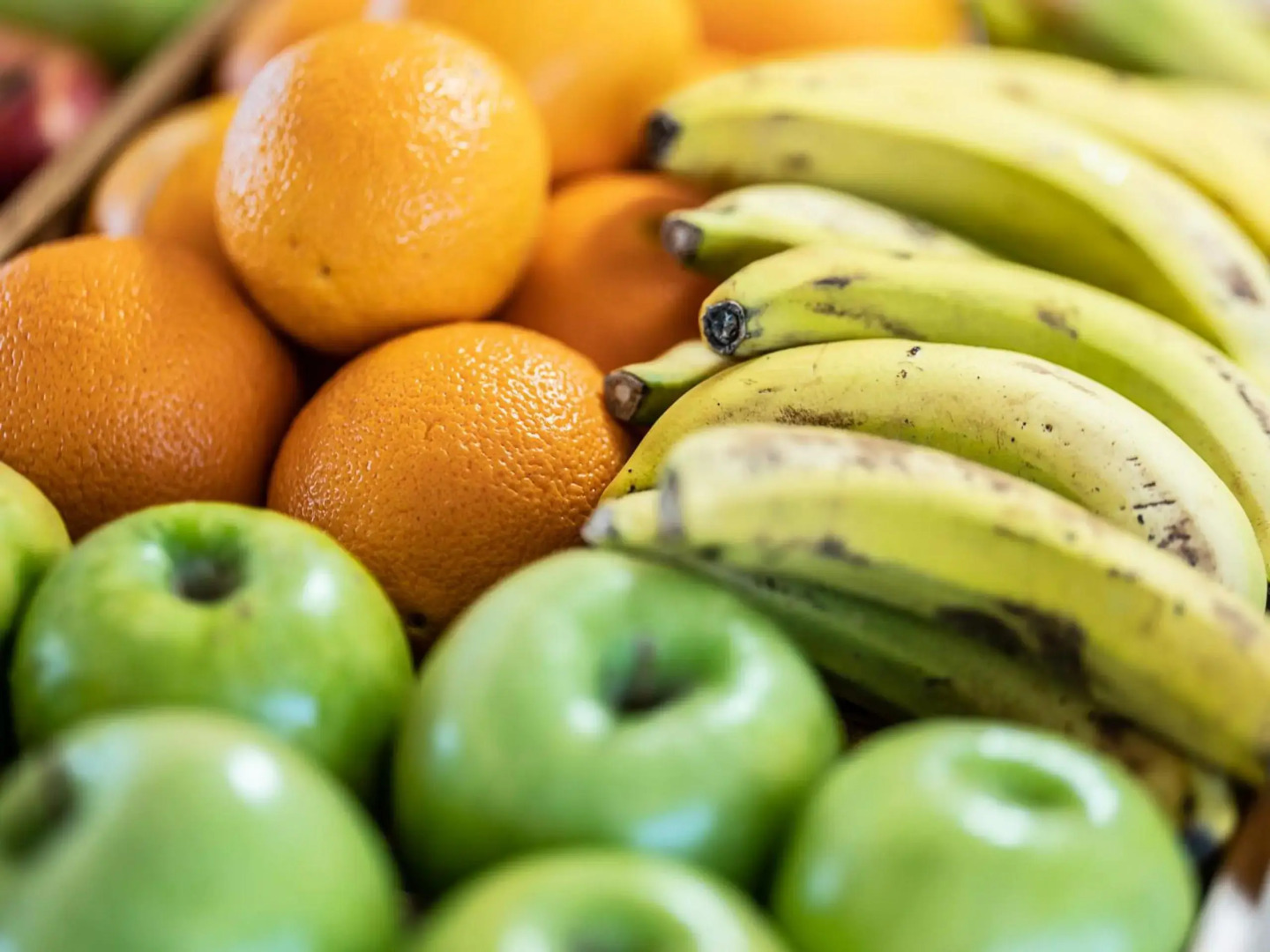 ON ALETA ROOM designed for adults