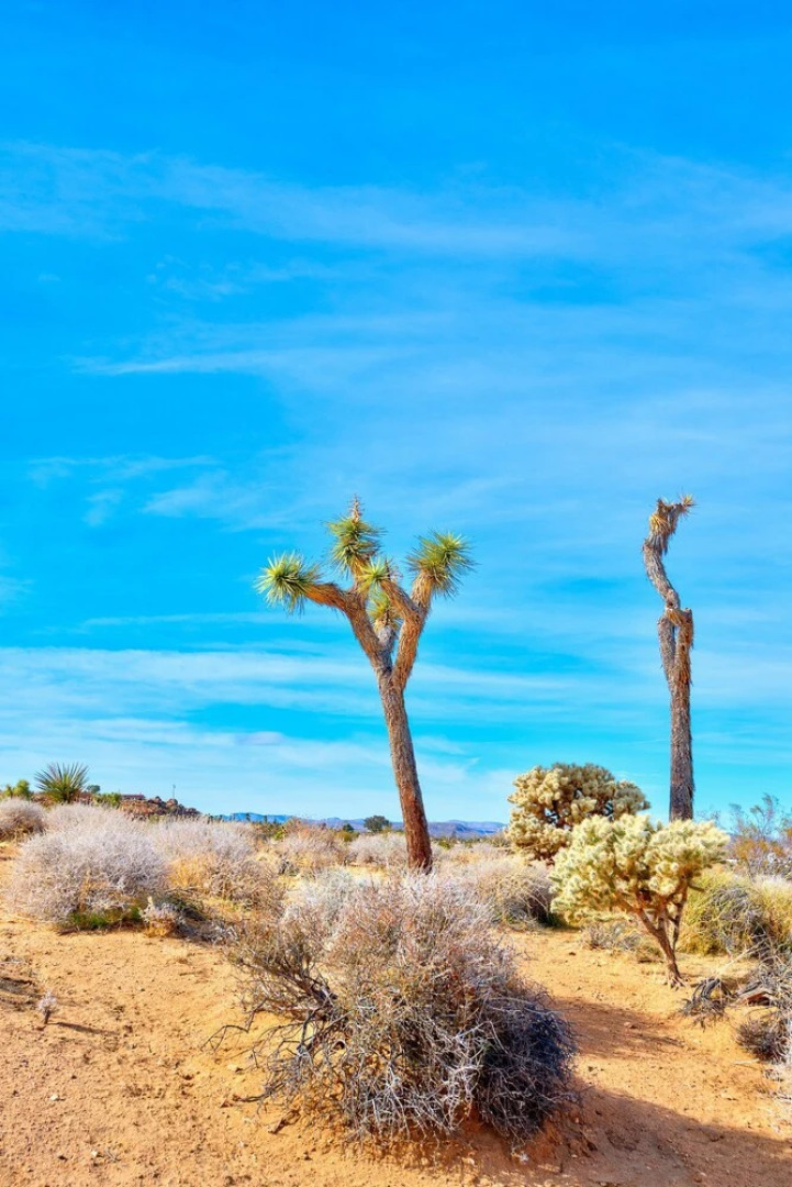 Classic 1960s Cottage on 10 Acres With Jacuzzi!