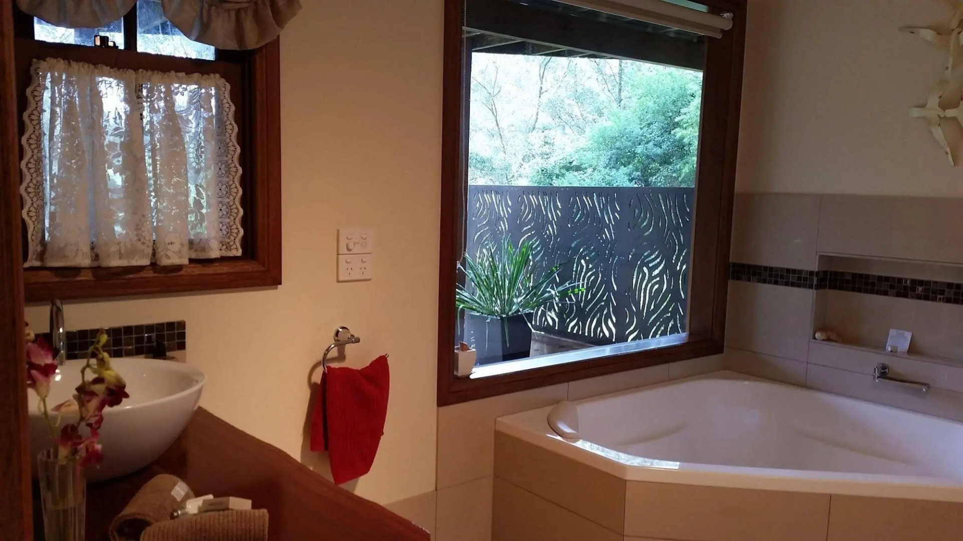 Bellbird Cottage B&B