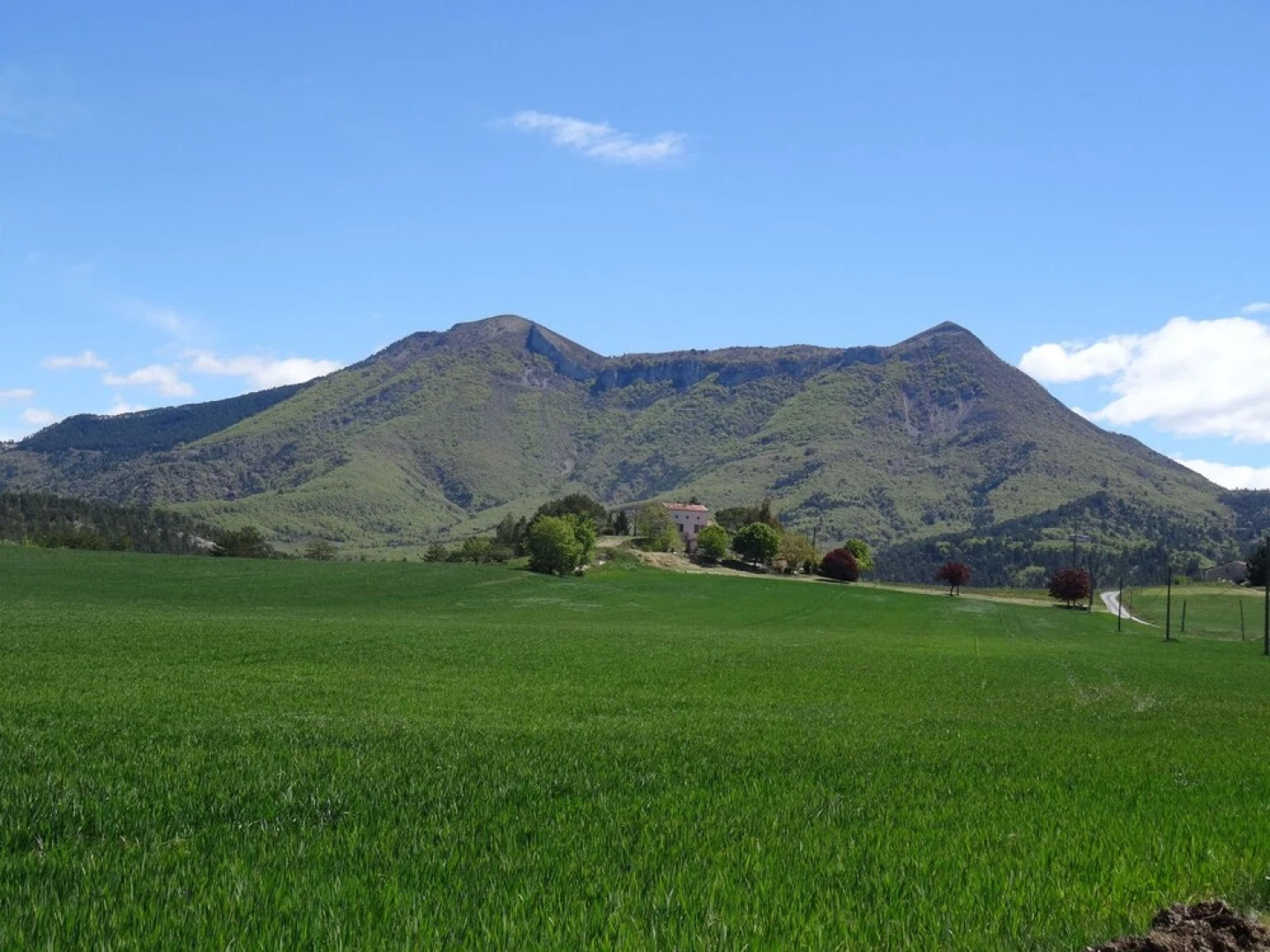 Chambre dhôtes Les Oliviers