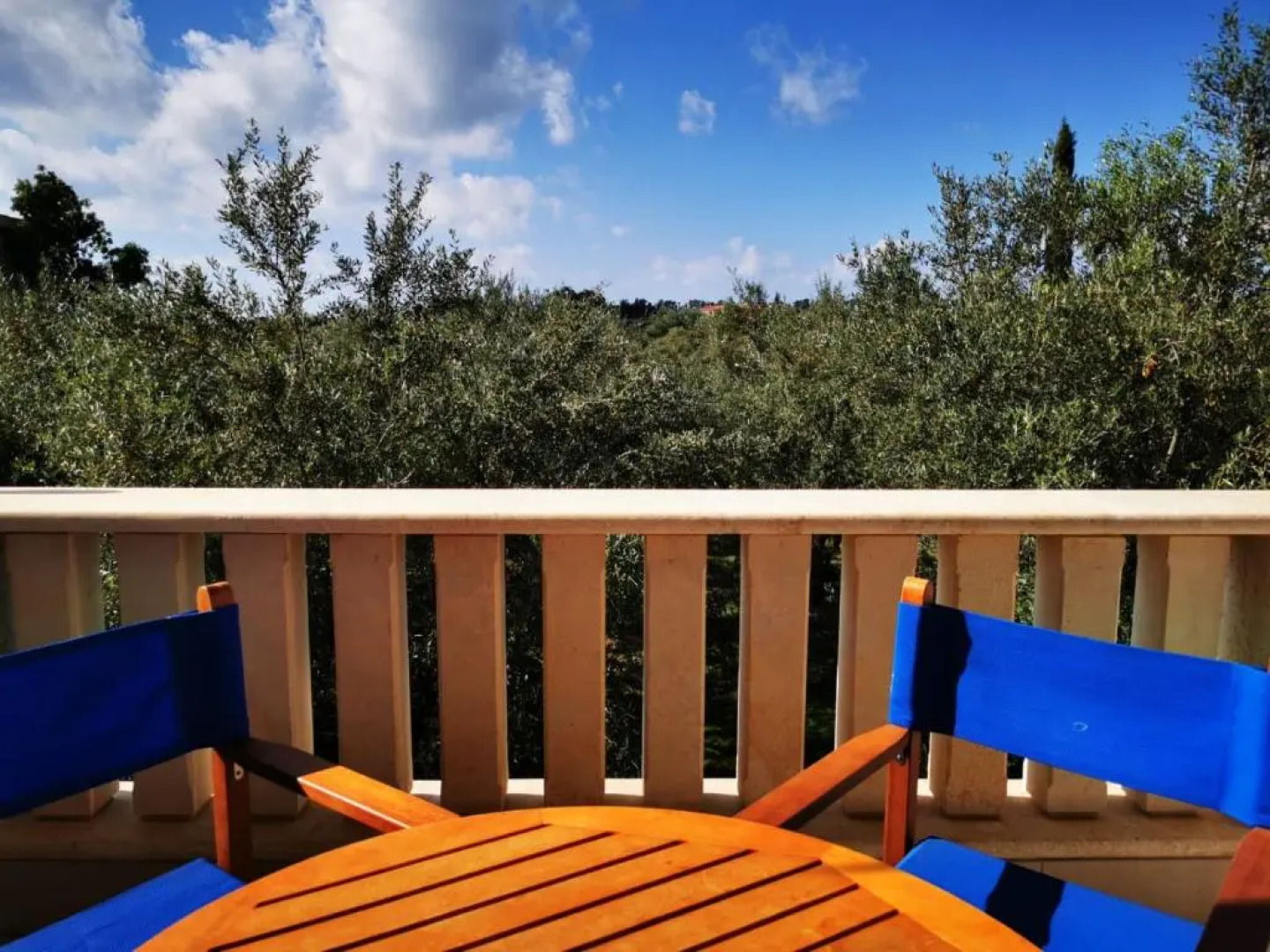 Escape and relax cozy apartment in Pafos!