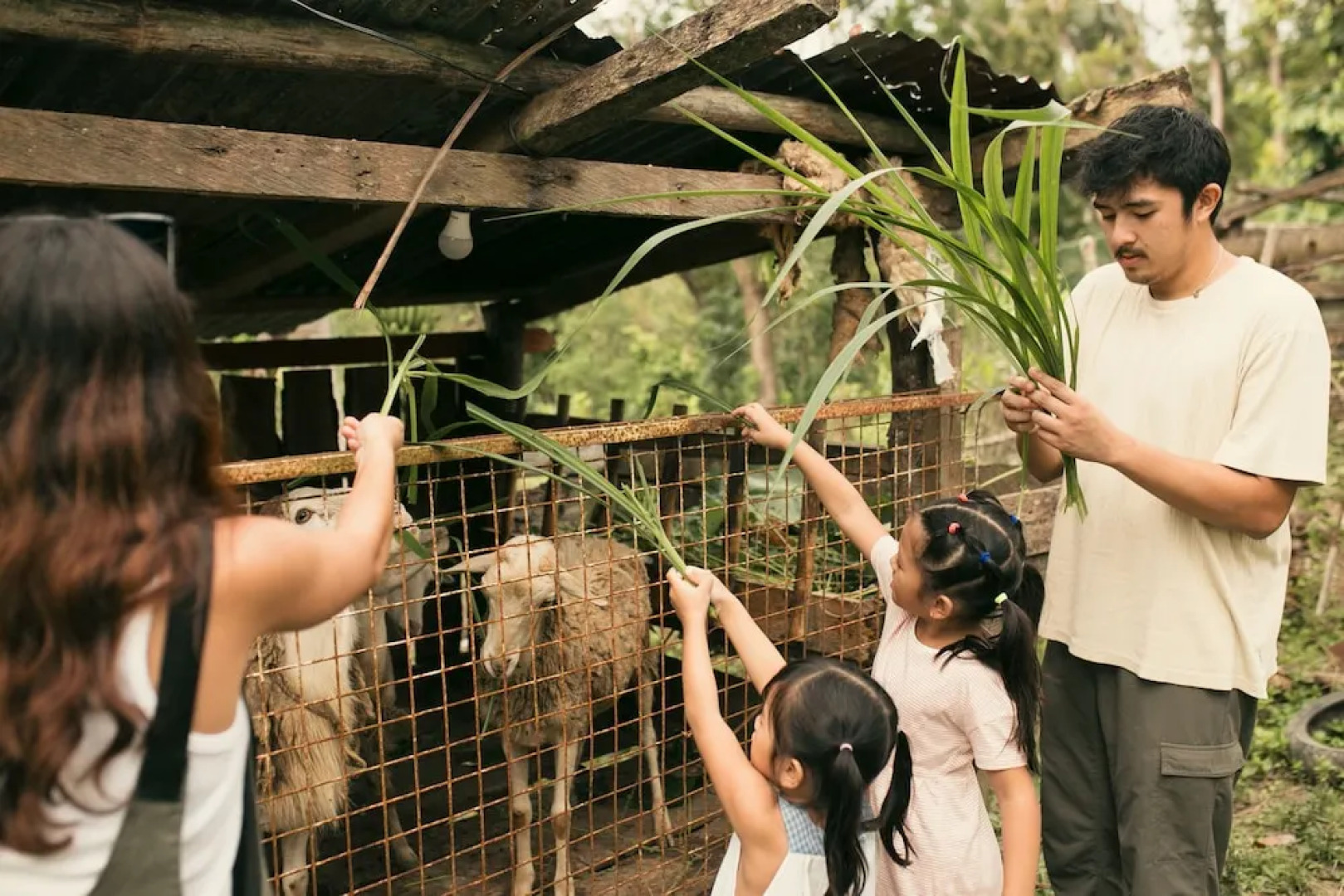 La Joya Farm Resort & Spa